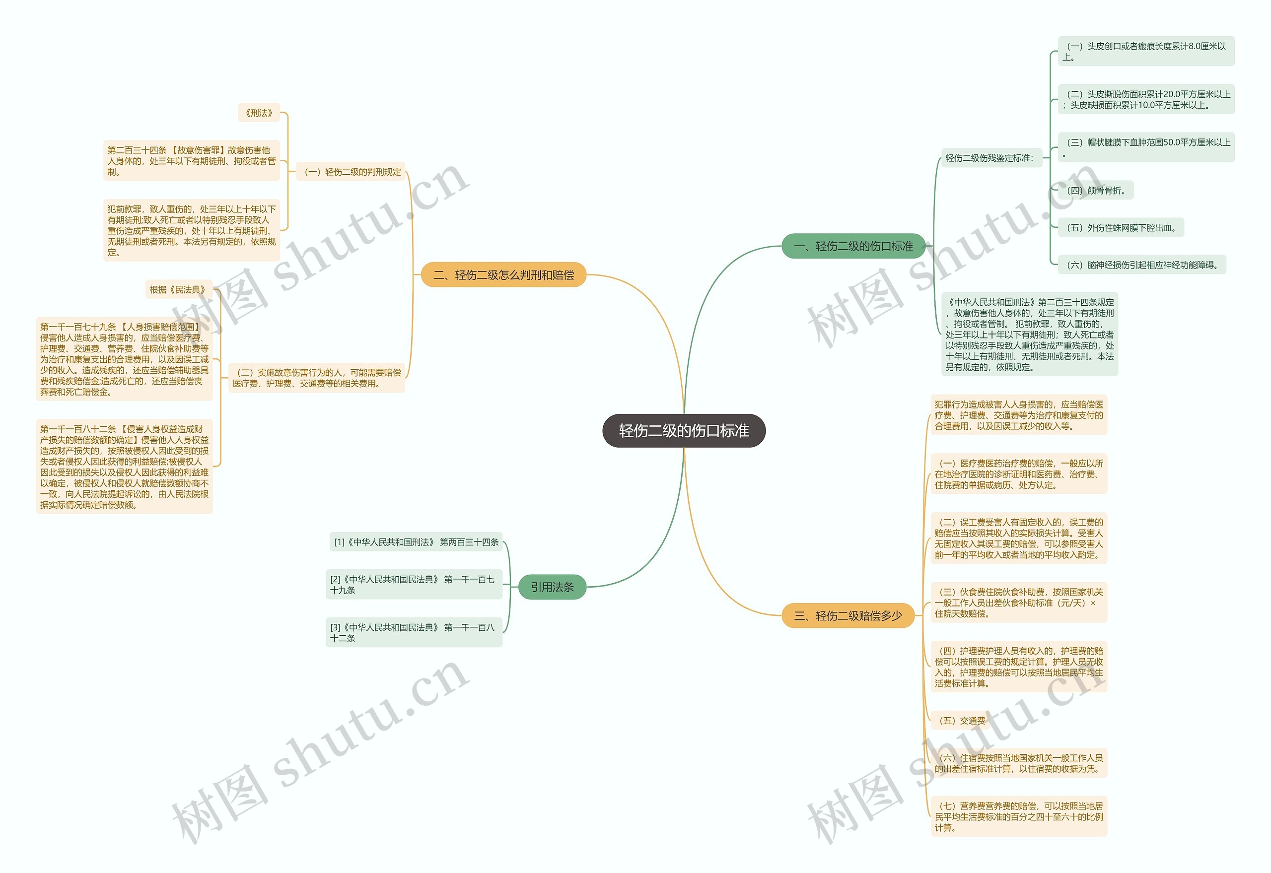 轻伤二级的伤口标准思维导图