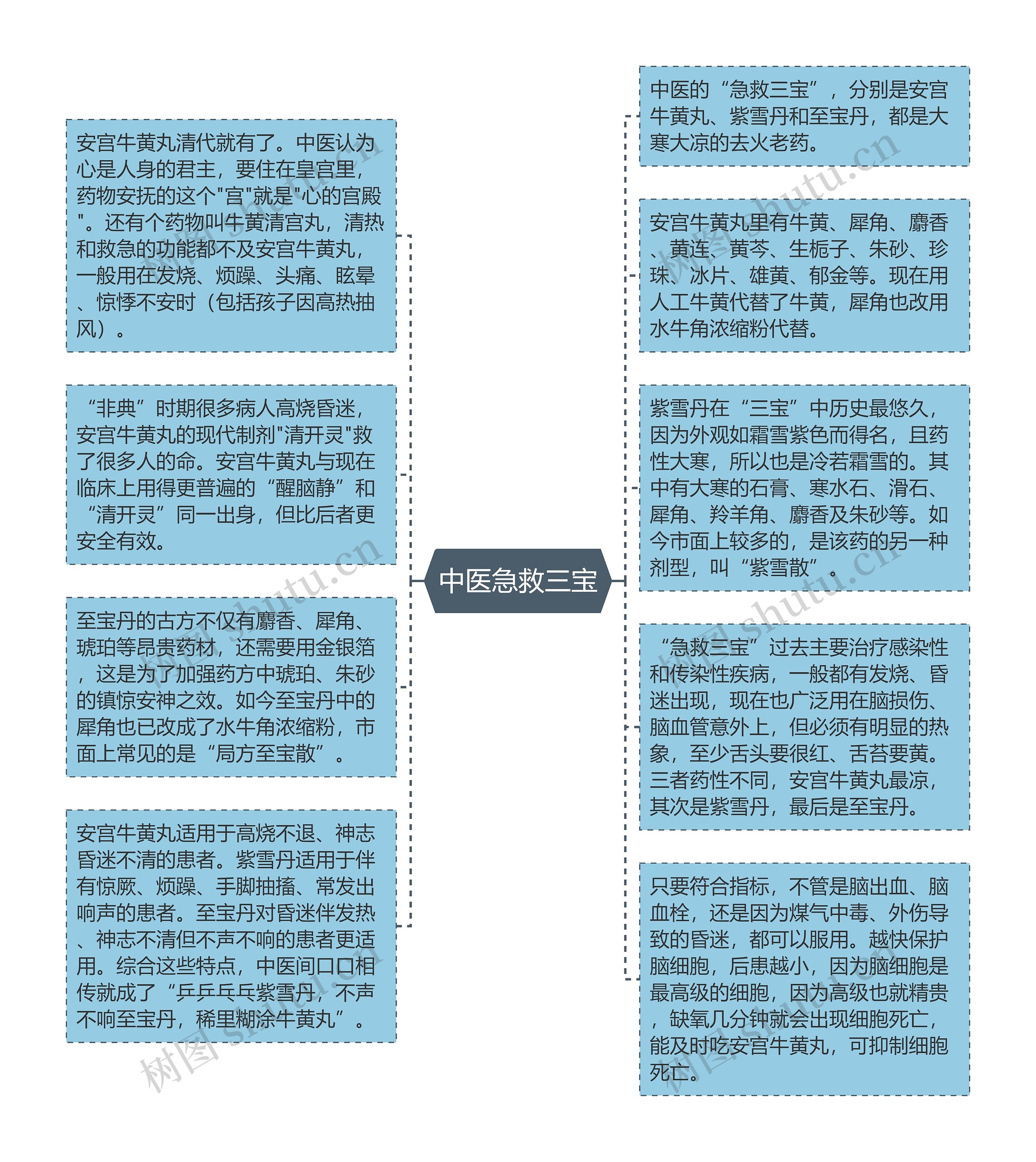 中医急救三宝思维导图