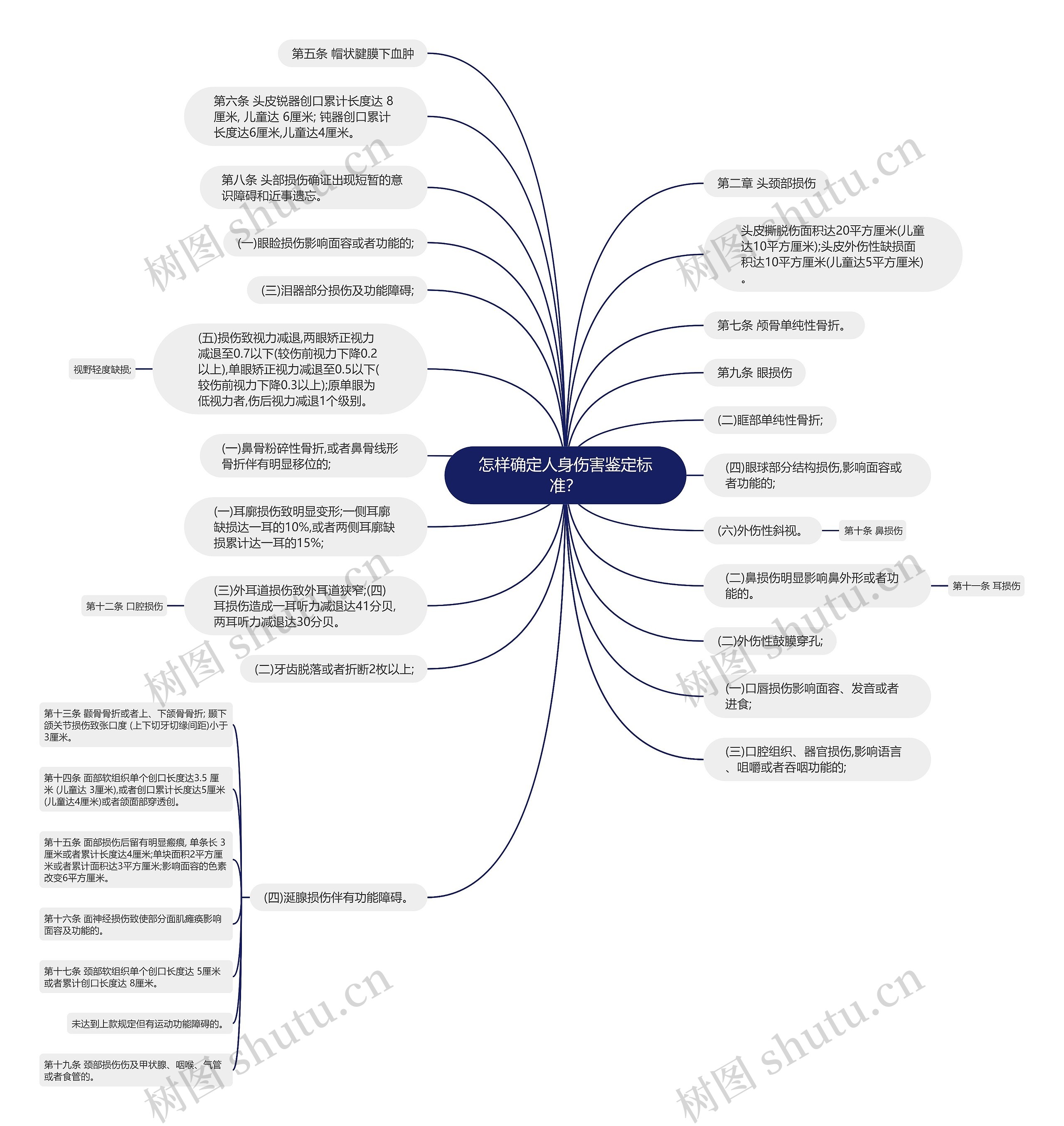怎样确定人身伤害鉴定标准？思维导图