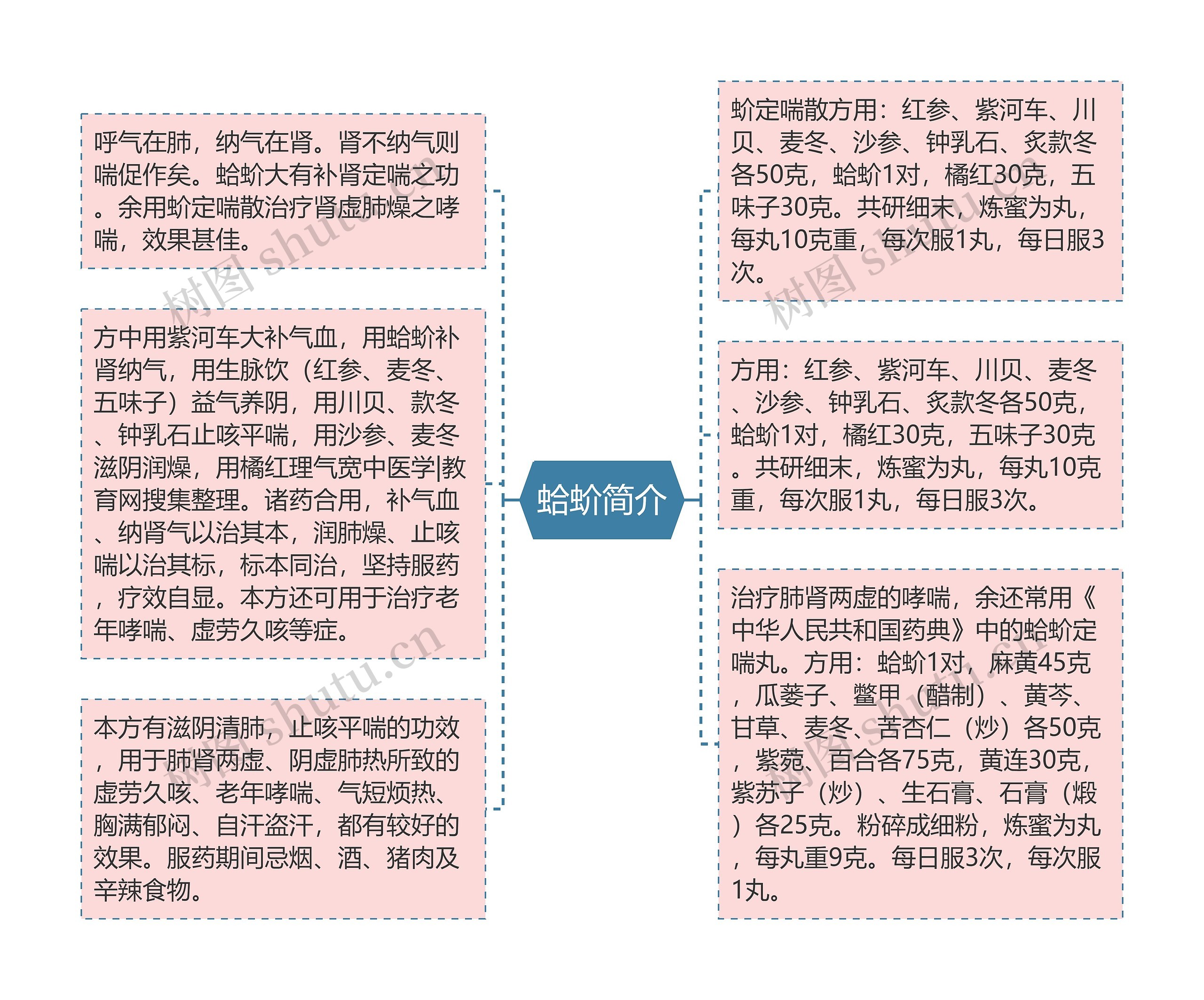 蛤蚧简介