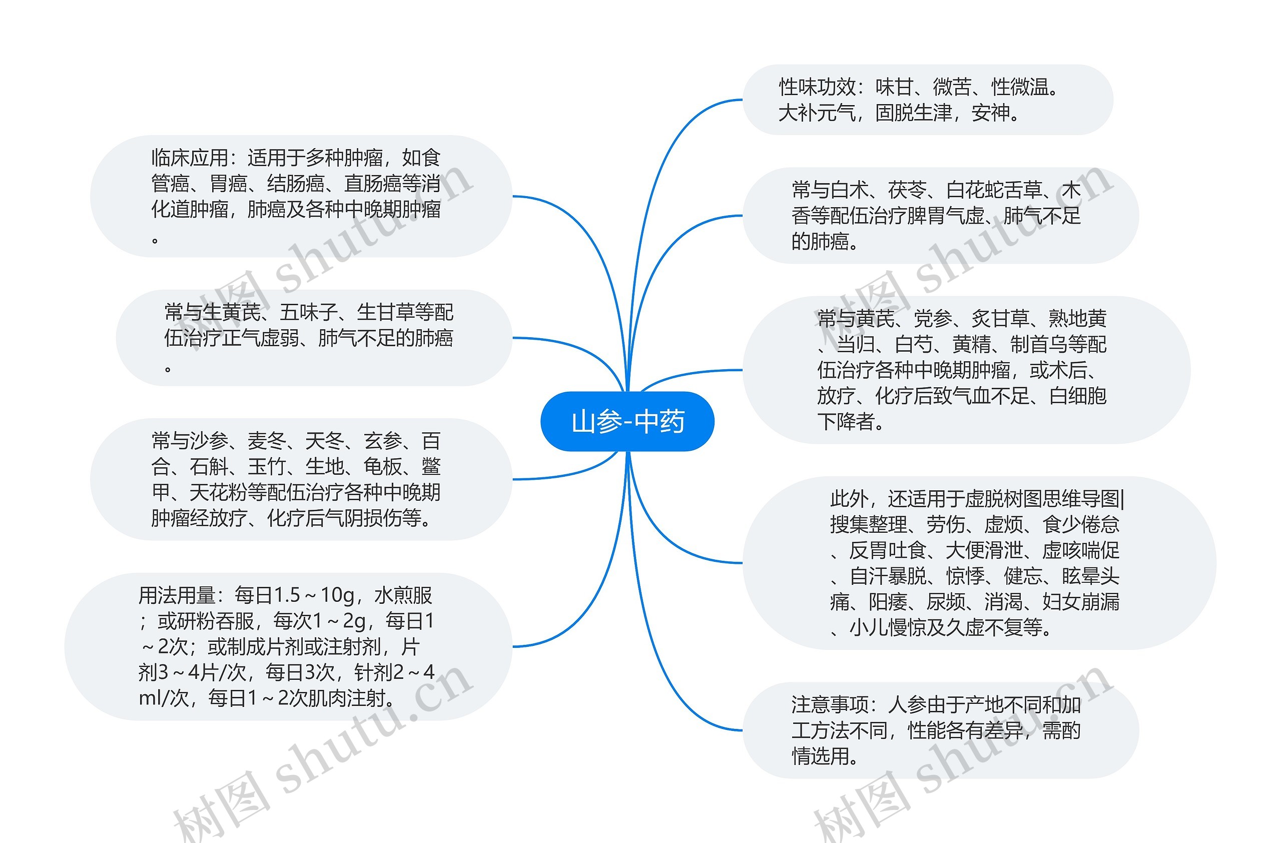 山参-中药思维导图