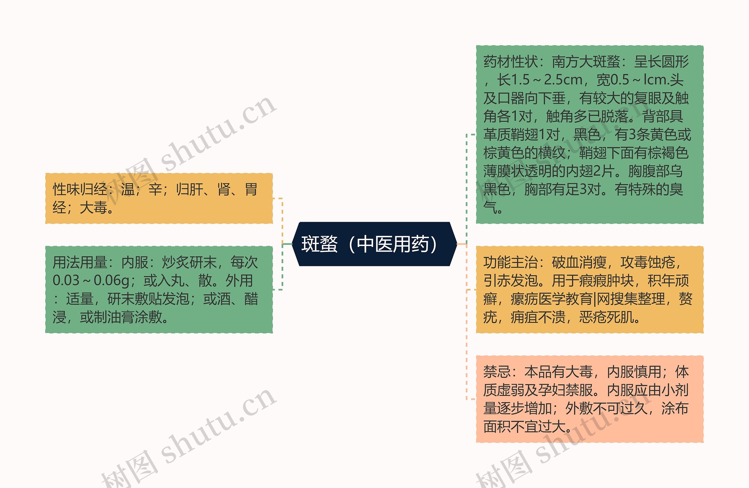 斑蝥(中医用药) 斑蝥(中医用药)