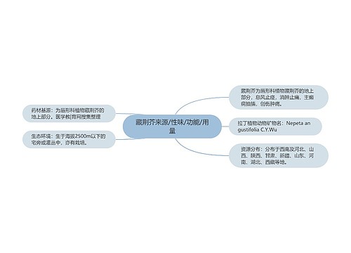 藏荆芥来源/性味/功能/用量