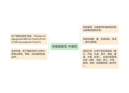 华紫报春花-中草药