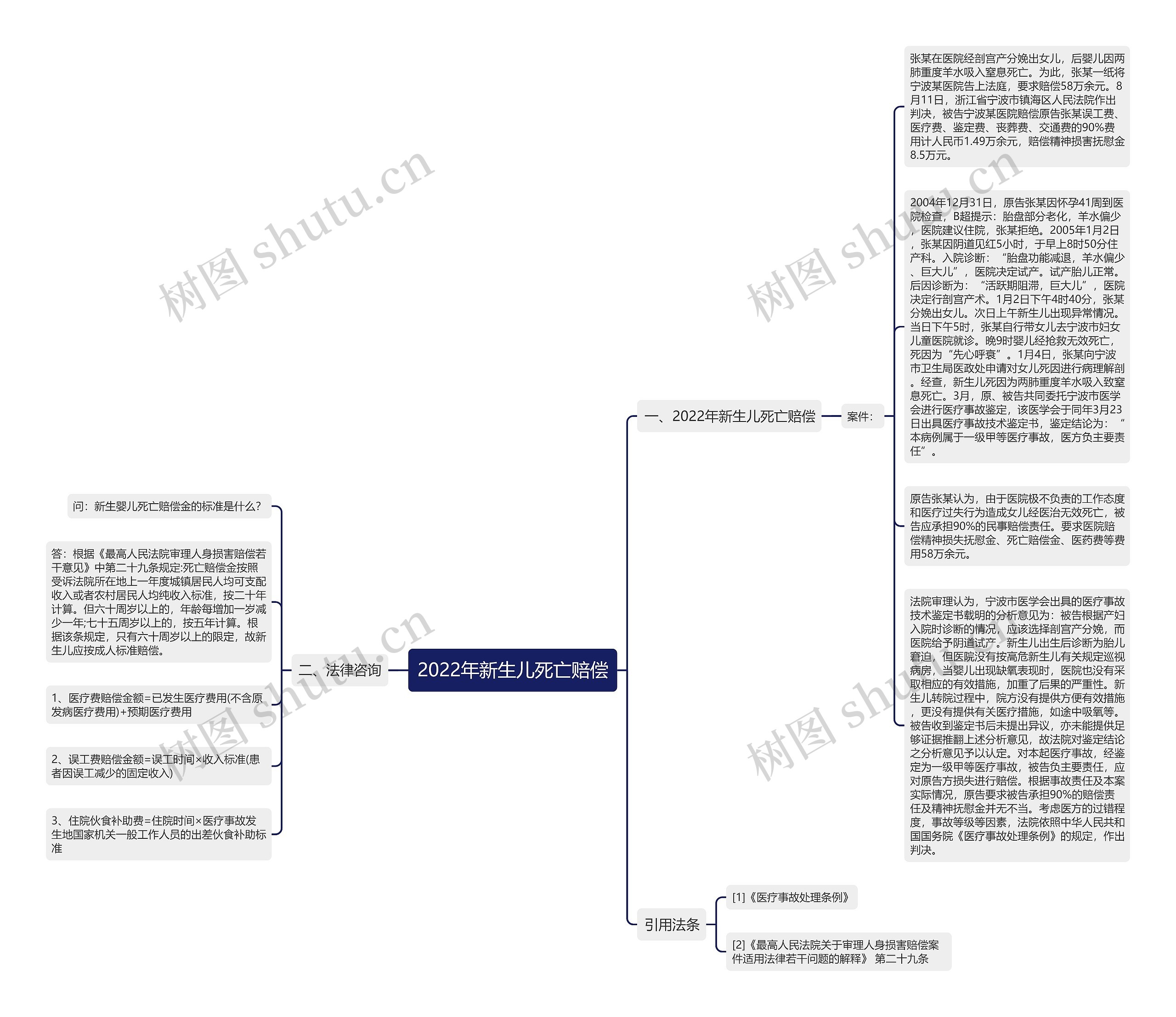 2022年新生儿死亡赔偿思维导图