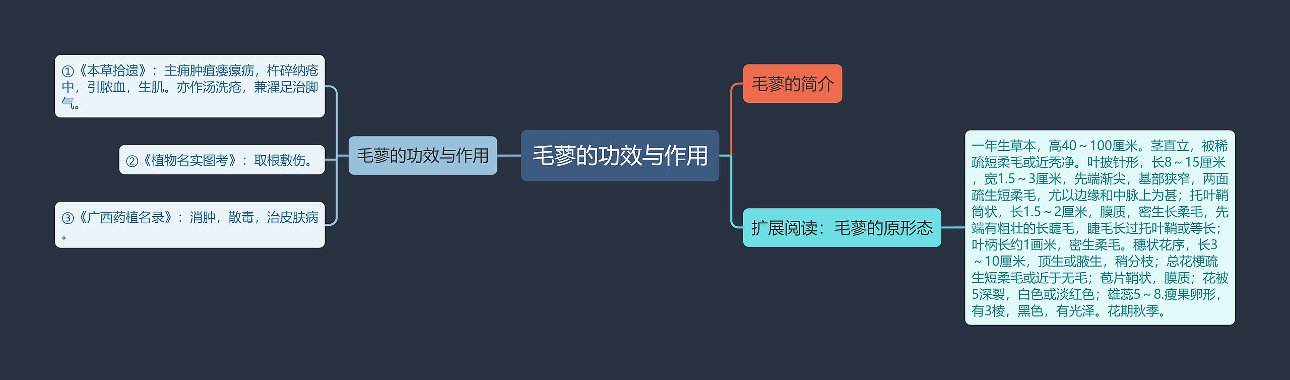 毛蓼的功效与作用思维导图