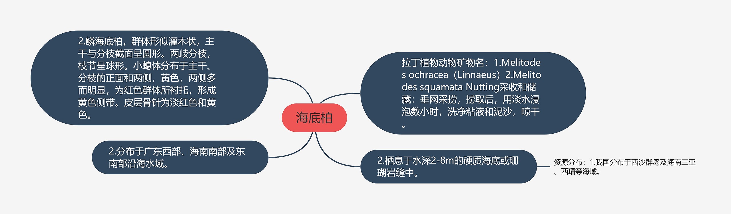 海底柏思维导图