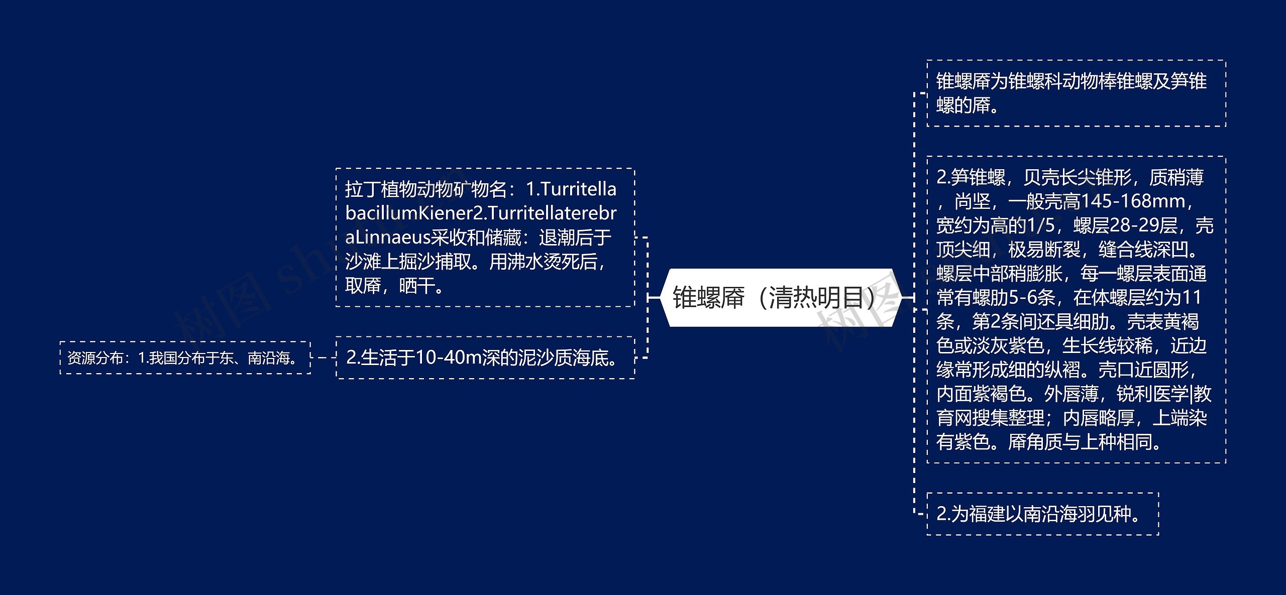 锥螺厣(清热明目) 锥螺厣(清热明目)