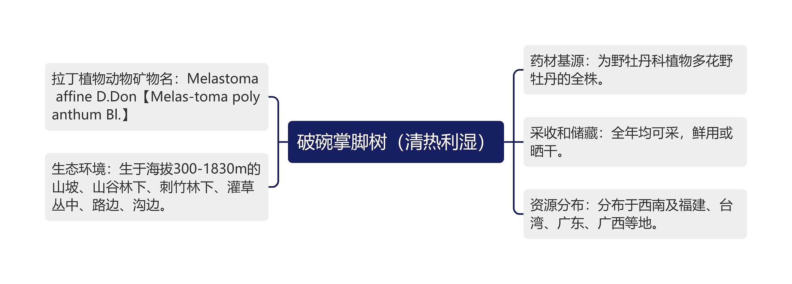 破碗掌脚树（清热利湿）