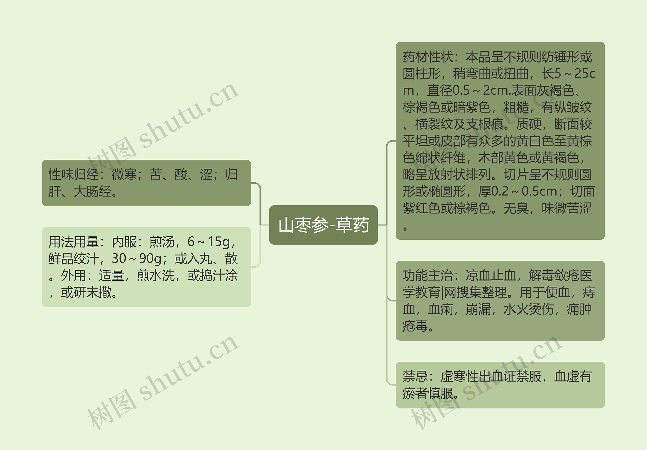 山枣参-草药思维导图