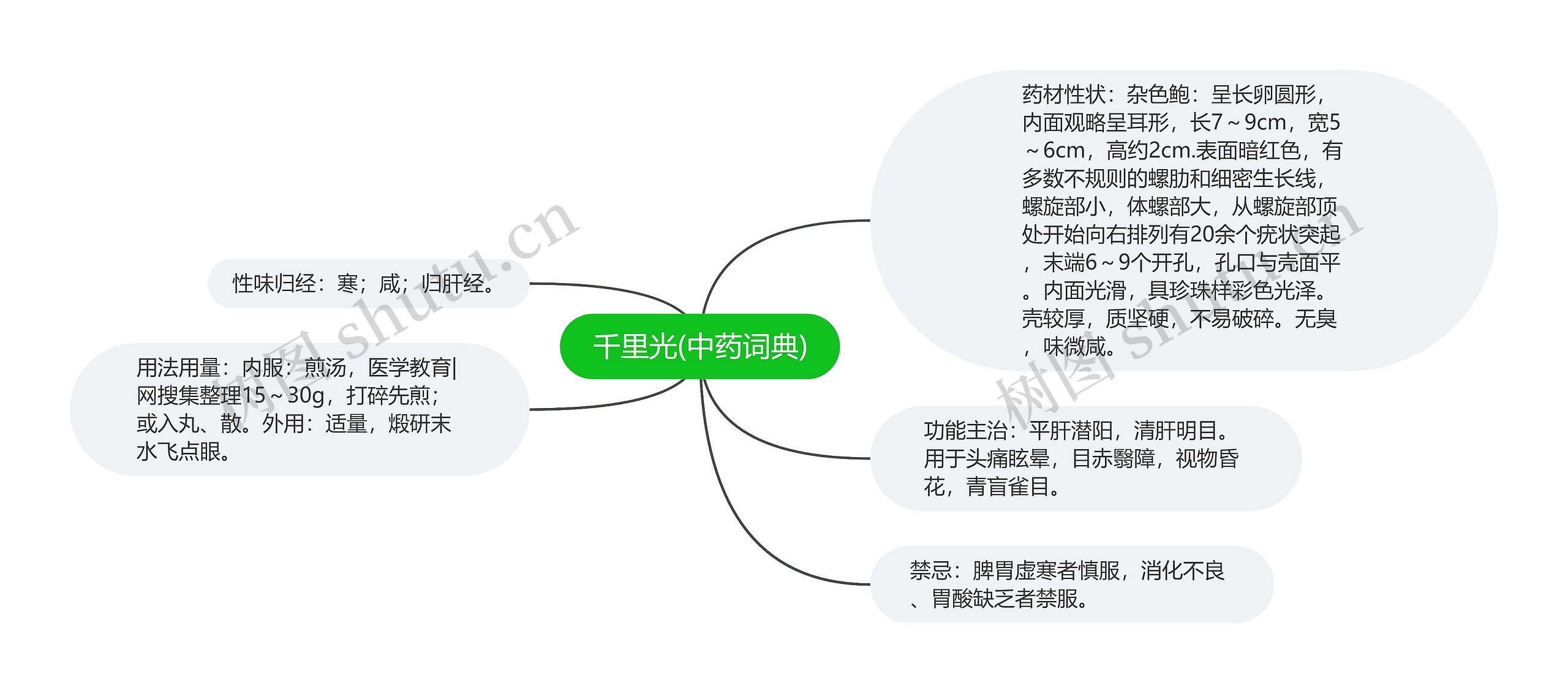 千里光(中药词典)思维导图