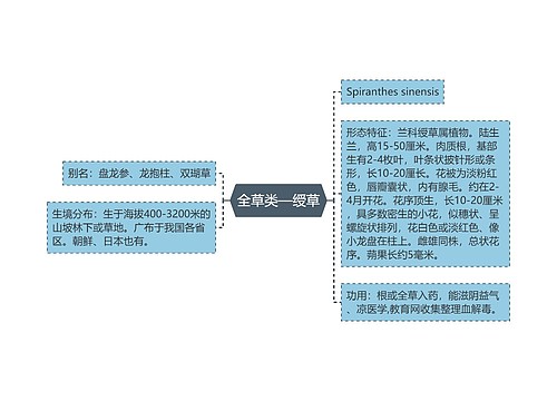 全草类—绶草