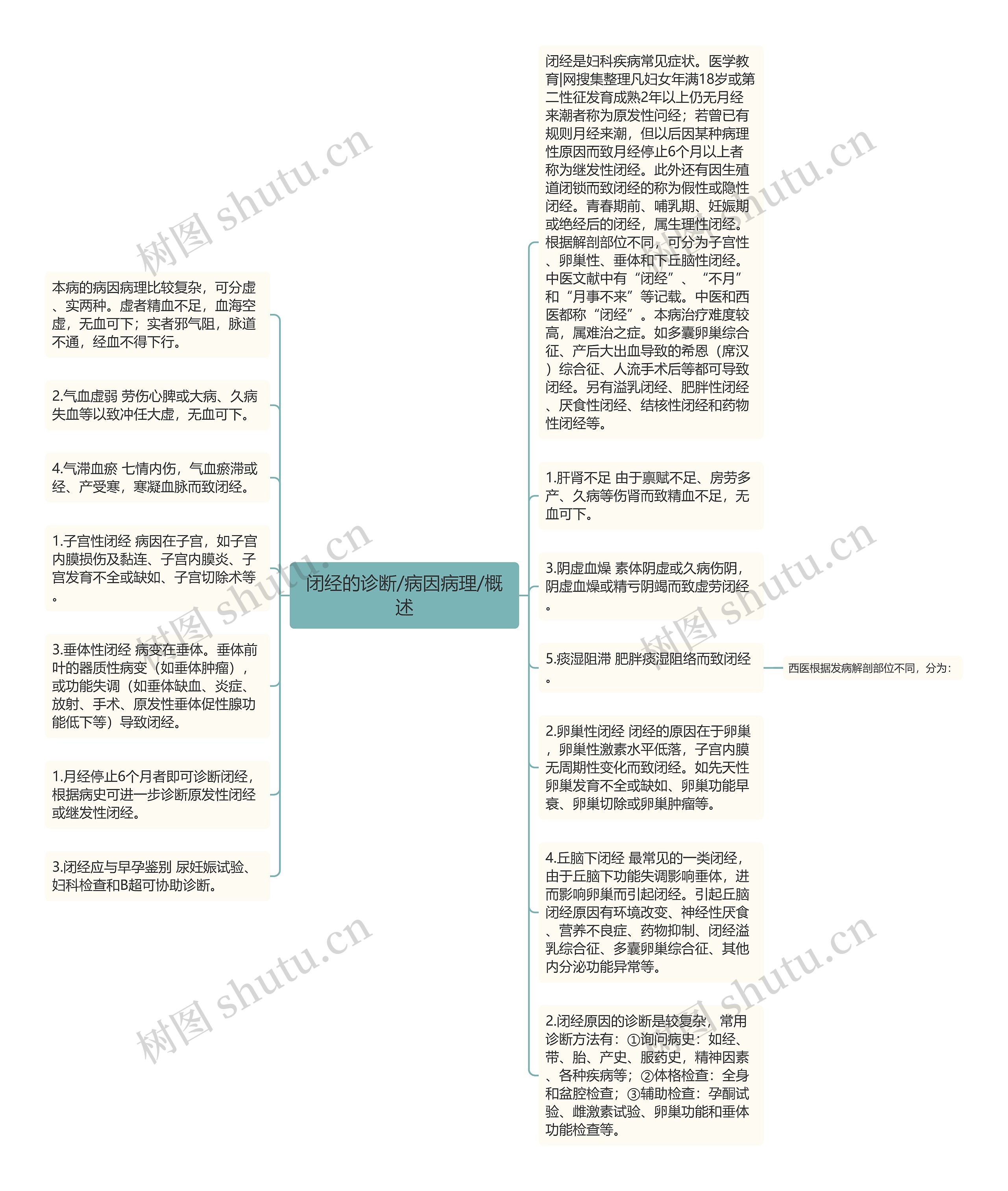 闭经的诊断/病因病理/概述思维导图