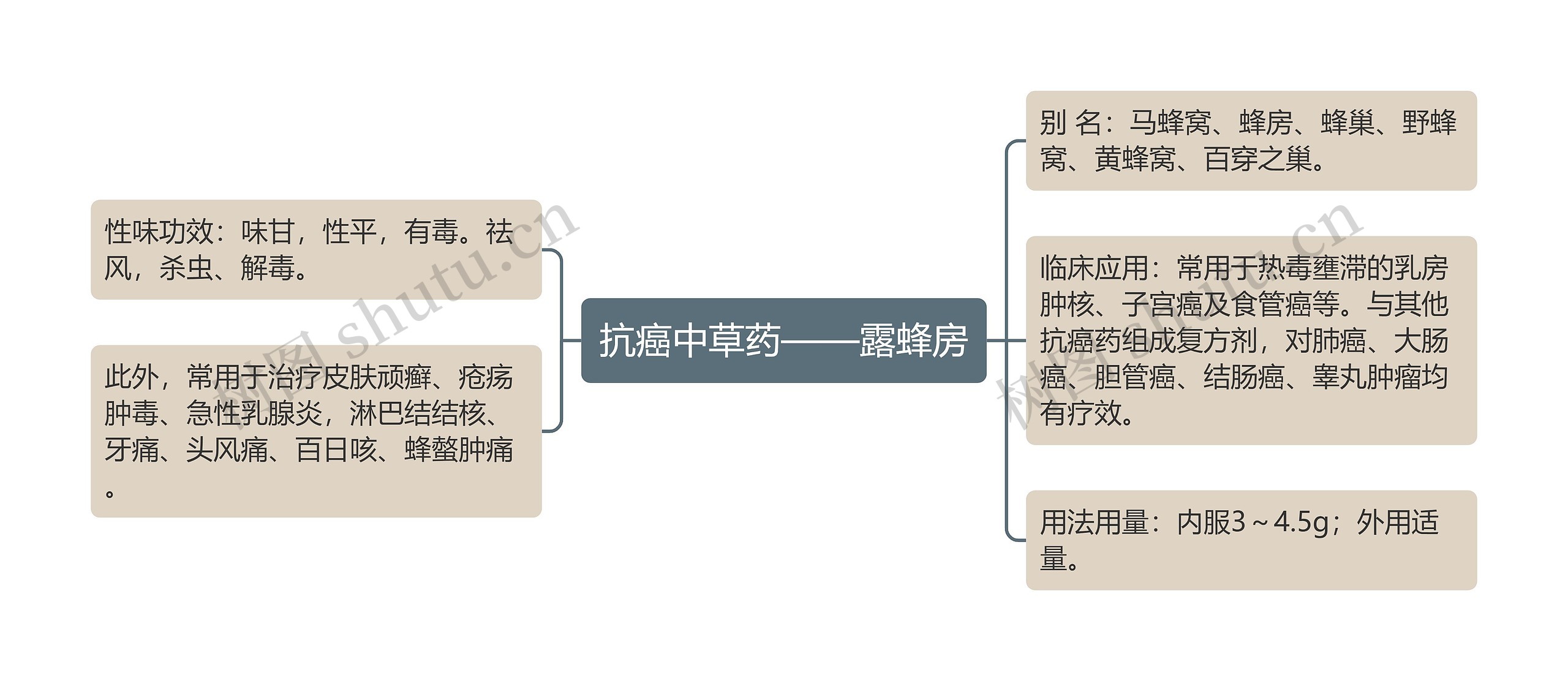 抗癌中草药——露蜂房思维导图