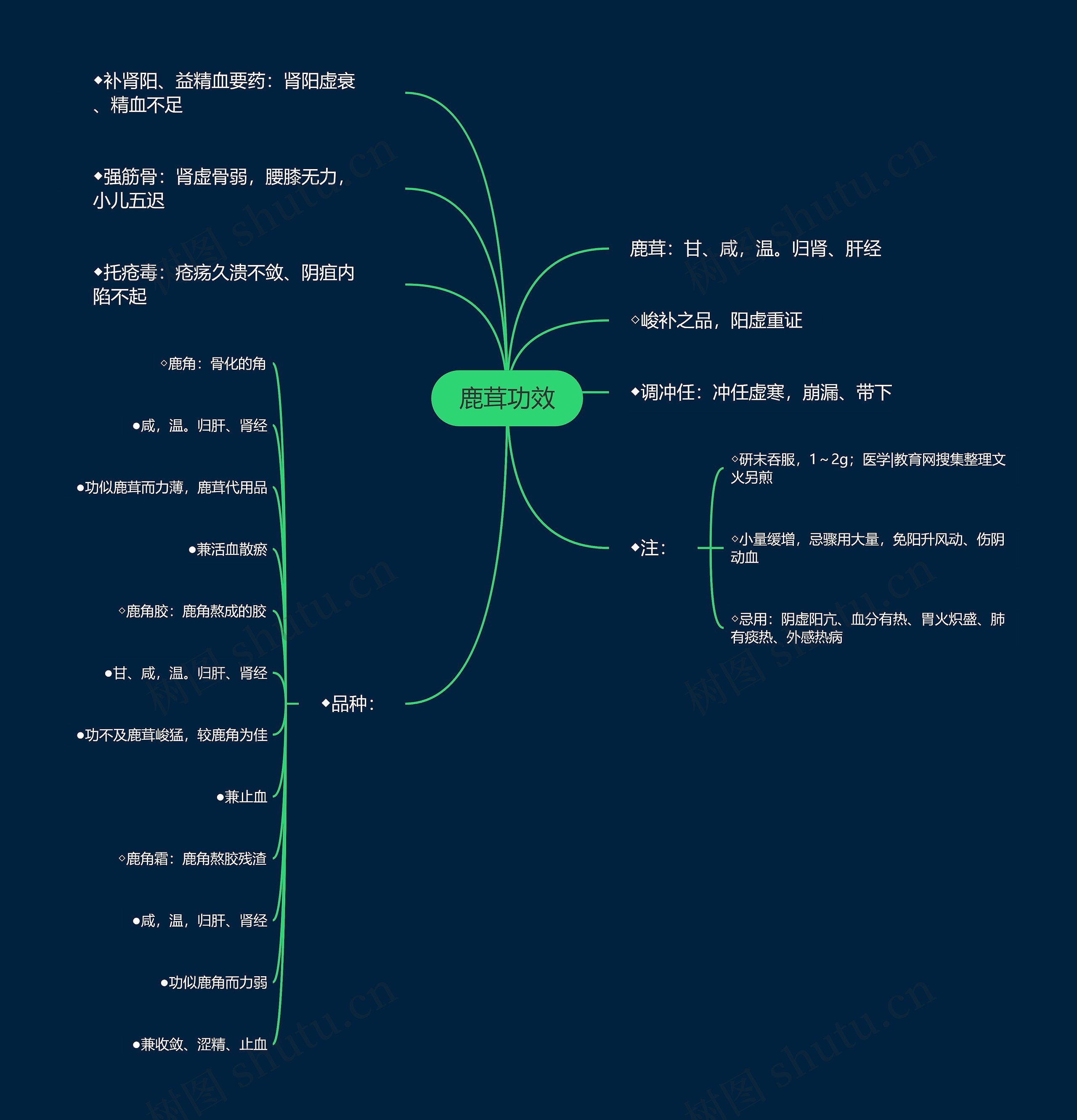 鹿茸功效思维导图