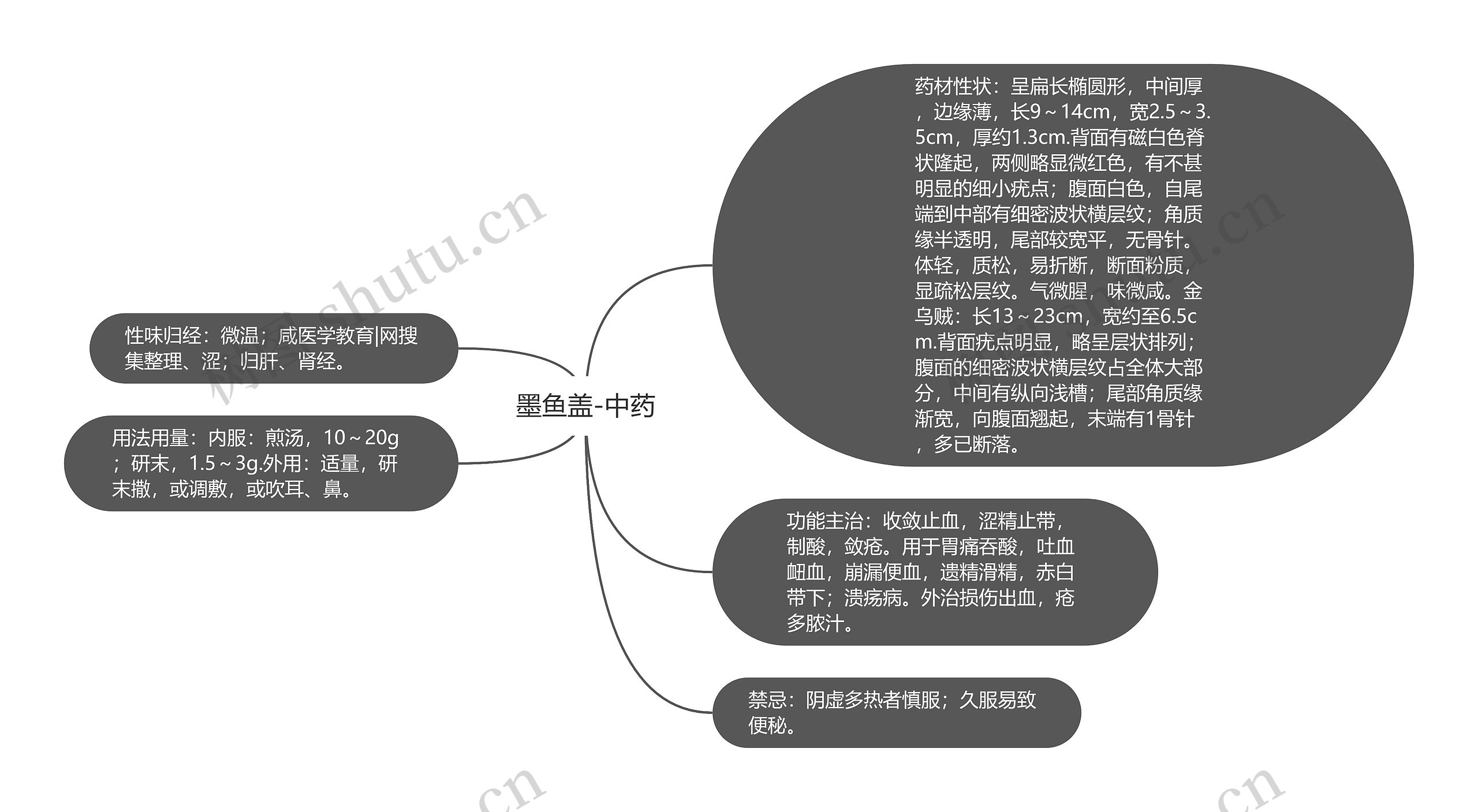 墨鱼盖-中药思维导图