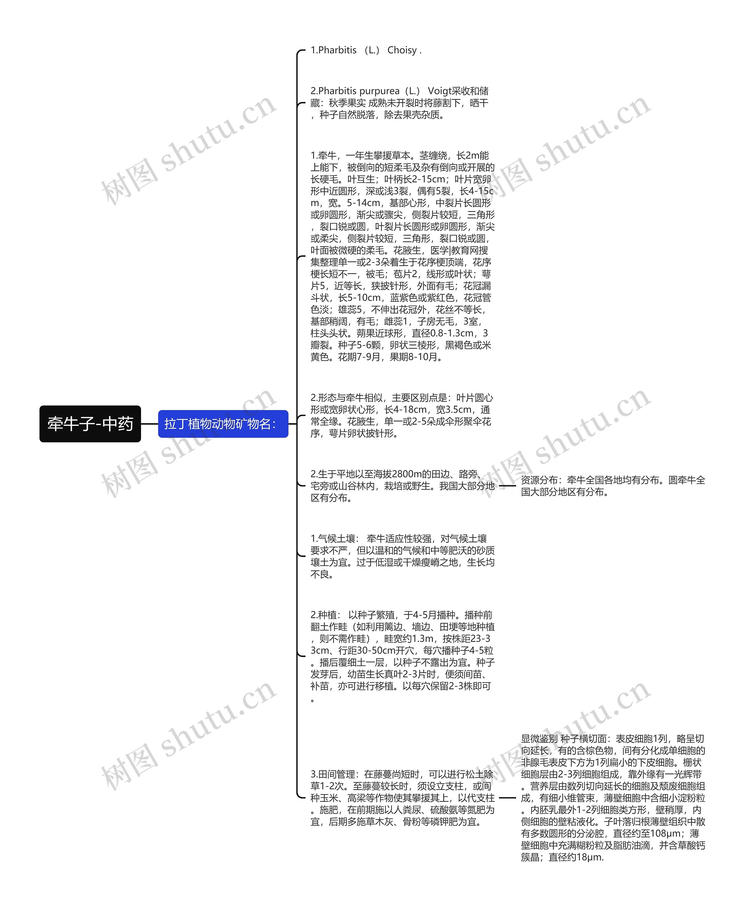 牵牛子-中药思维导图