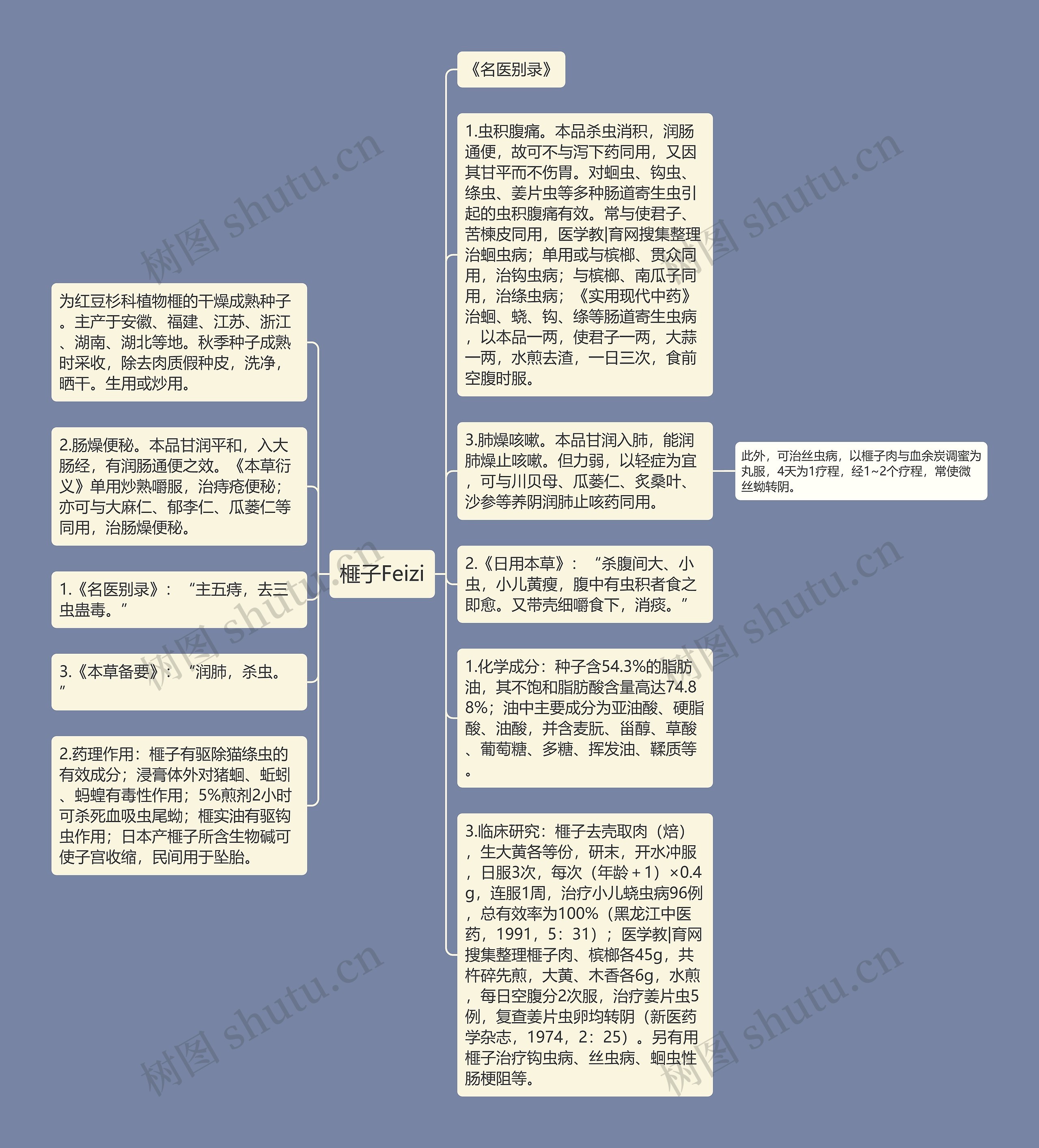 榧子Feizi思维导图