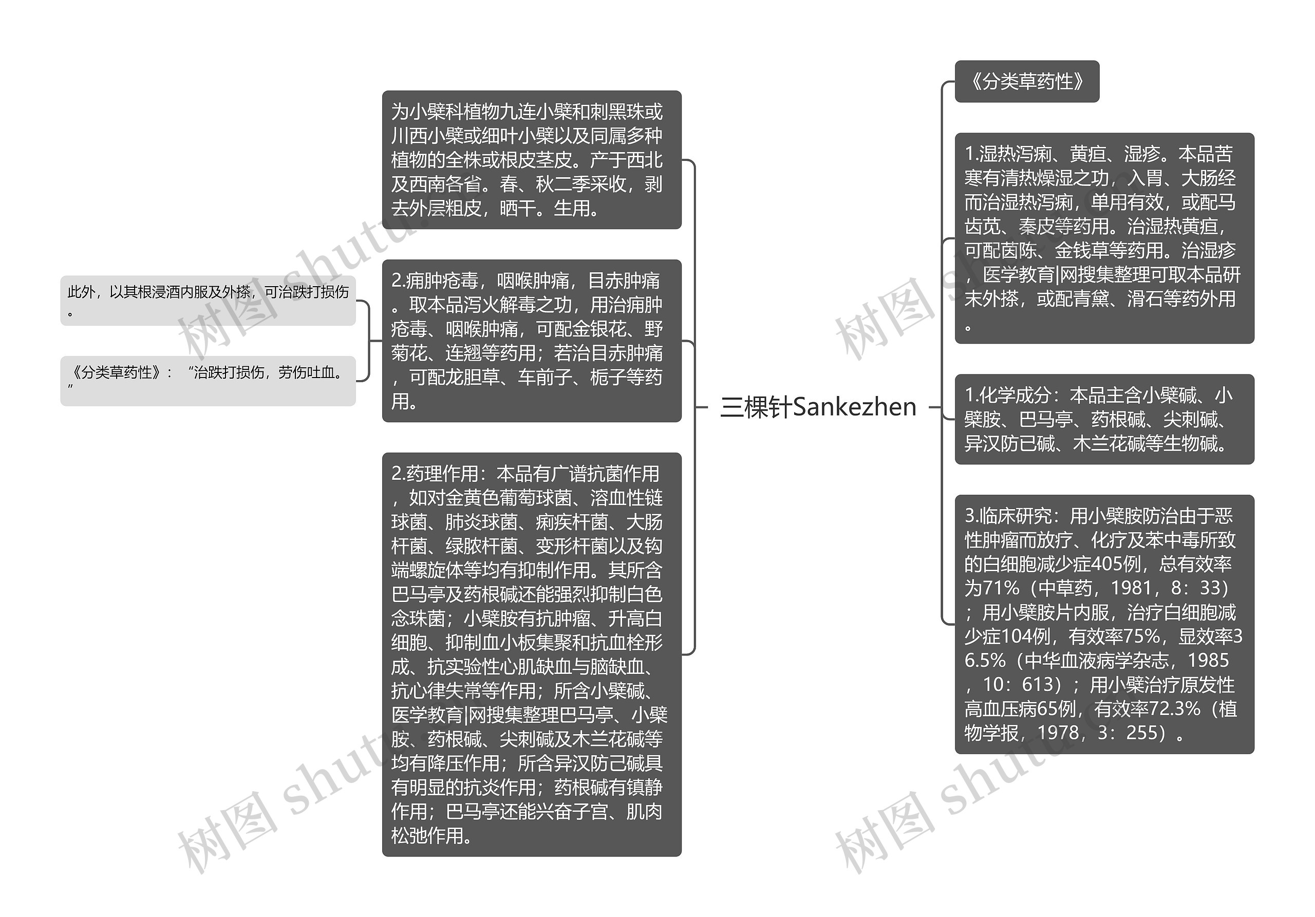 三棵针Sankezhen思维导图