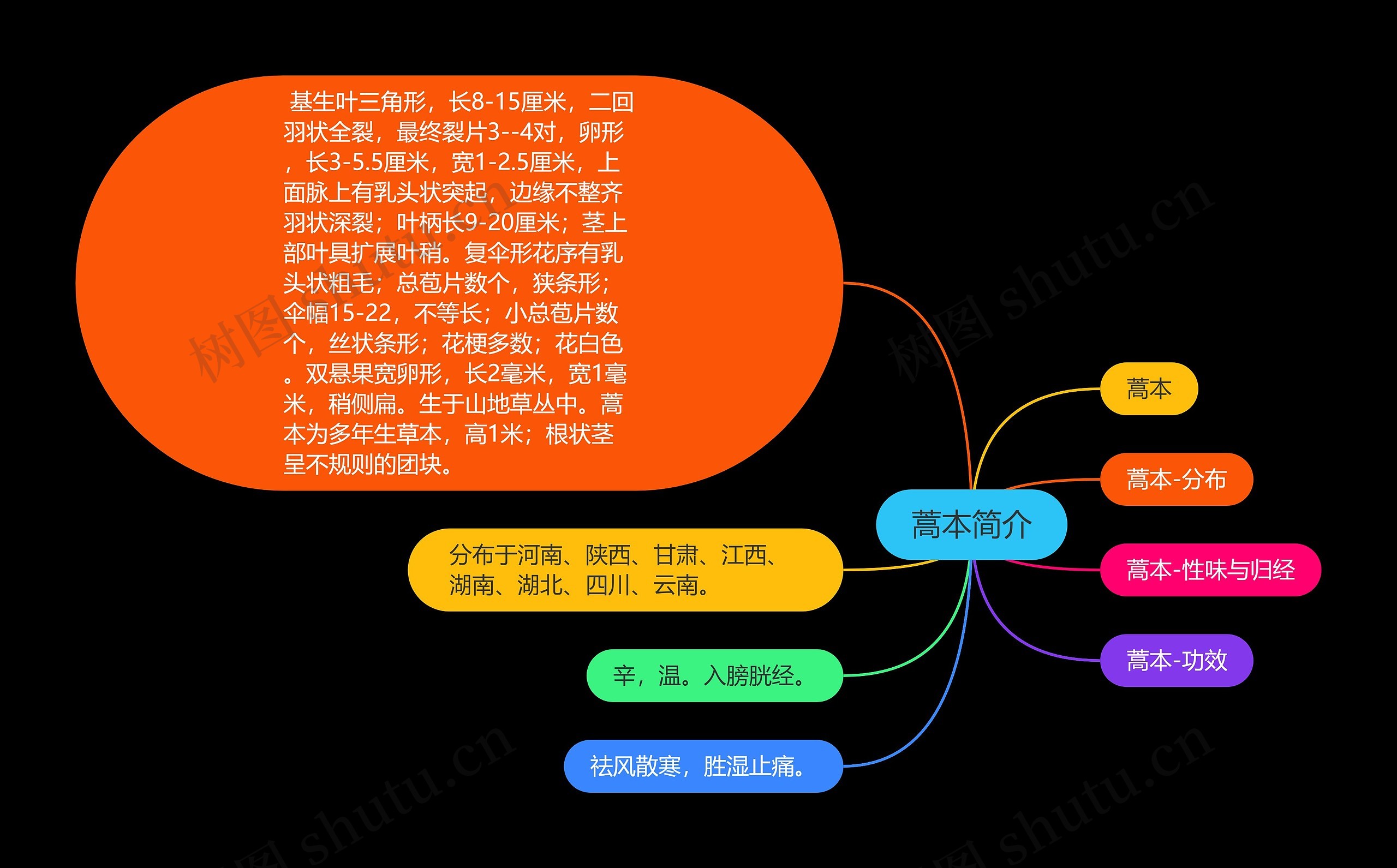 蒿本简介思维导图