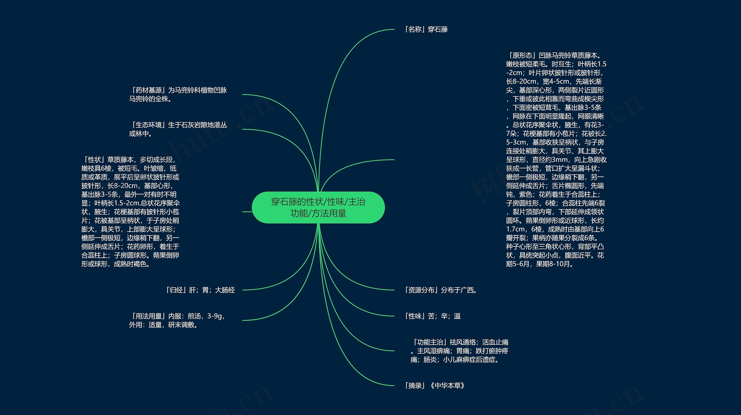 穿石藤的性状/性味/主治功能/方法用量思维导图