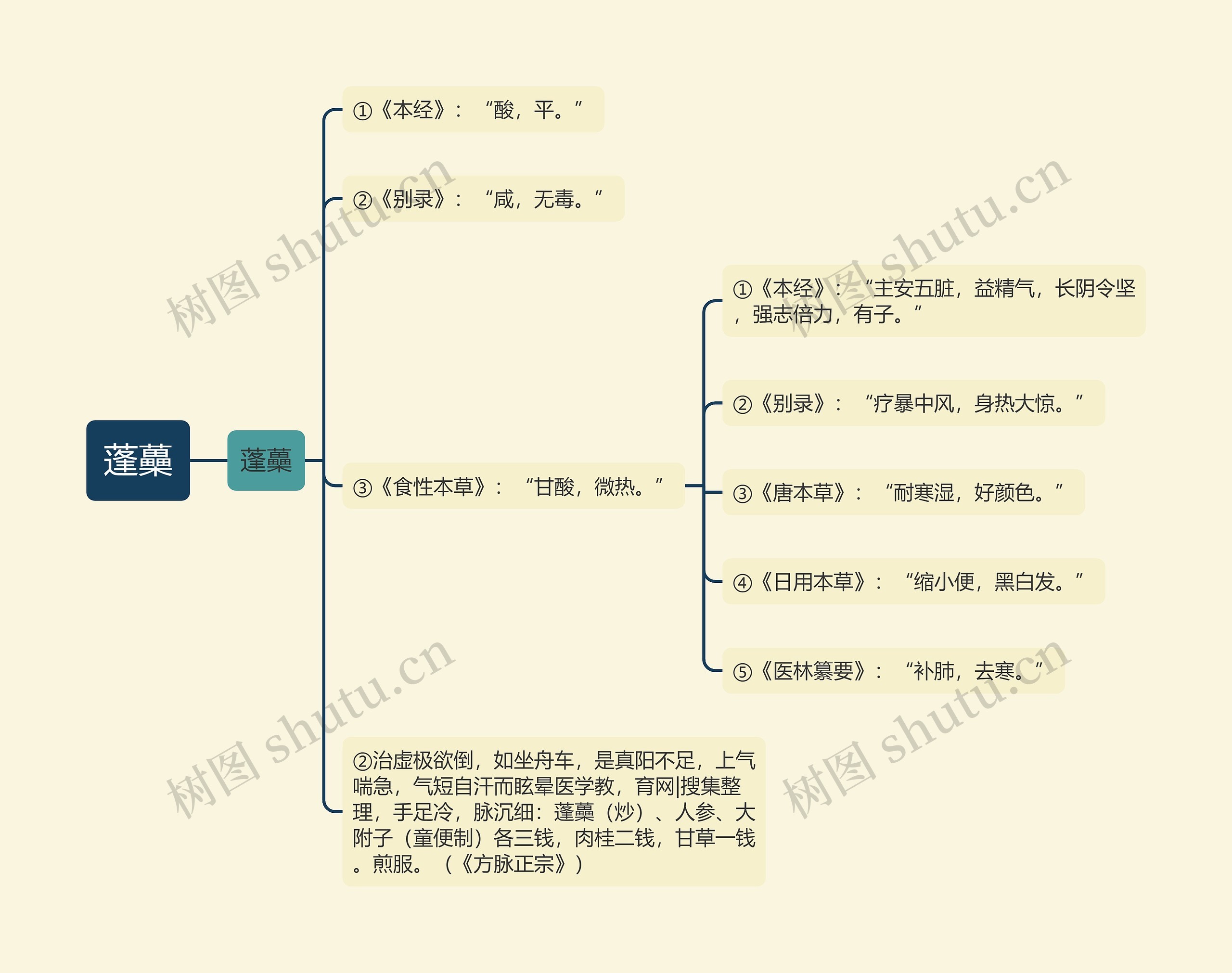 蓬蘽思维导图