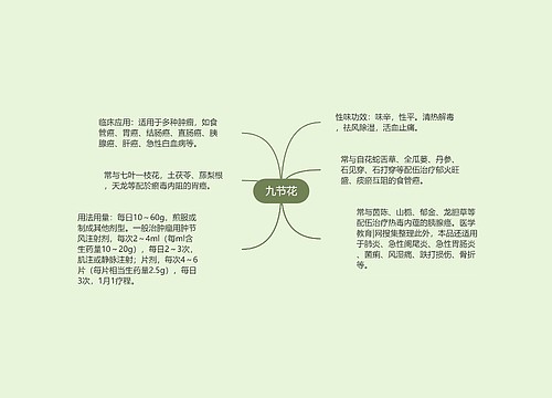 九节花