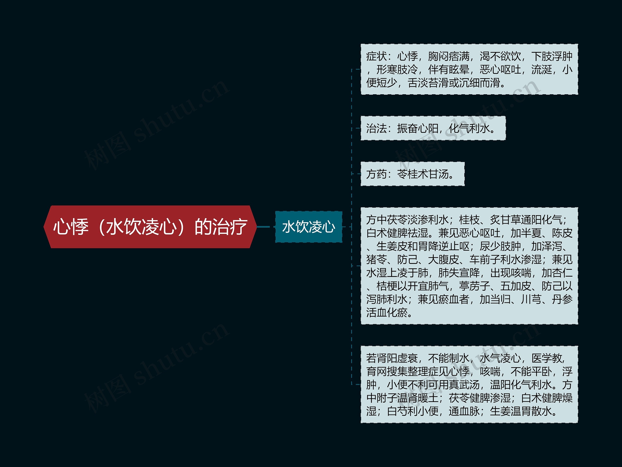 心悸（水饮凌心）的治疗思维导图