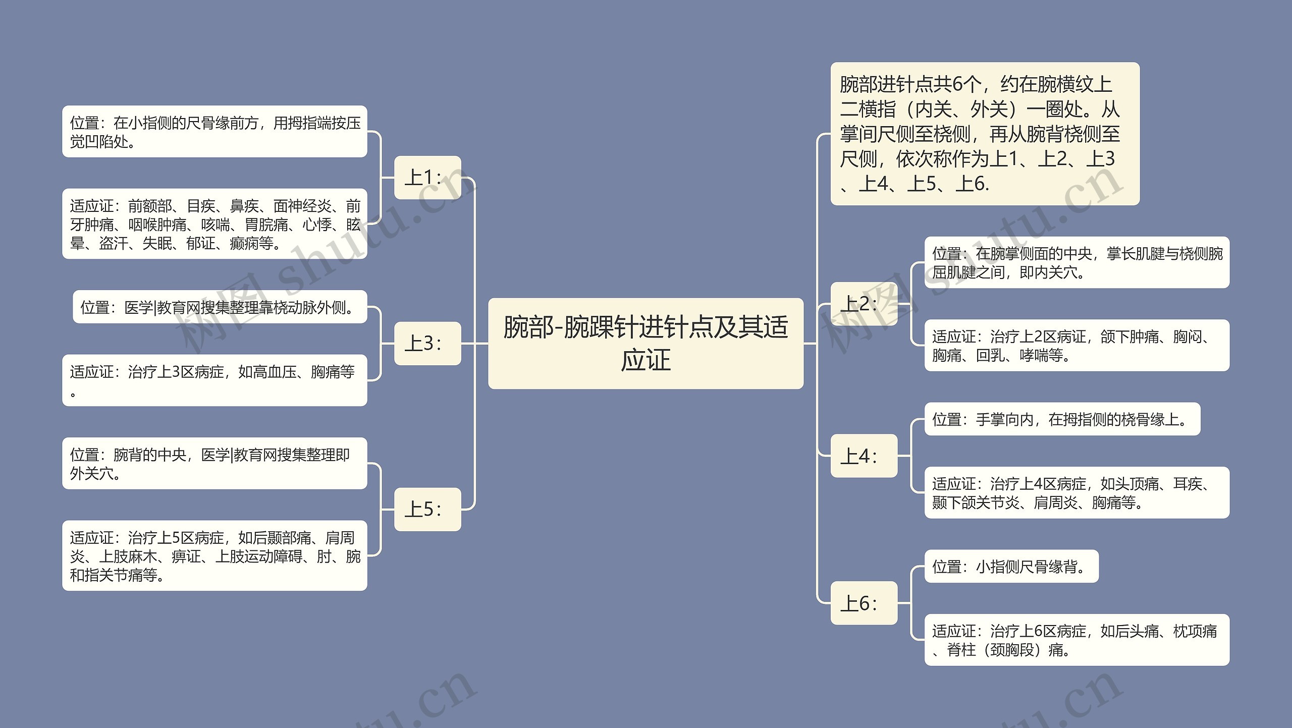 腕部-腕踝针进针点及其适应证思维导图