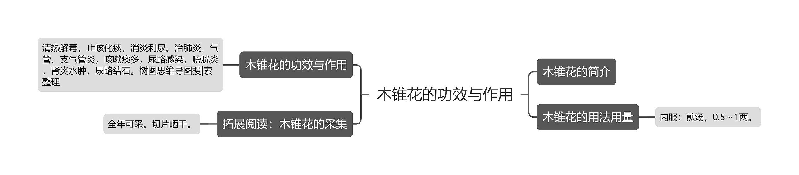 木锥花的功效与作用 木锥花的功效与作用
