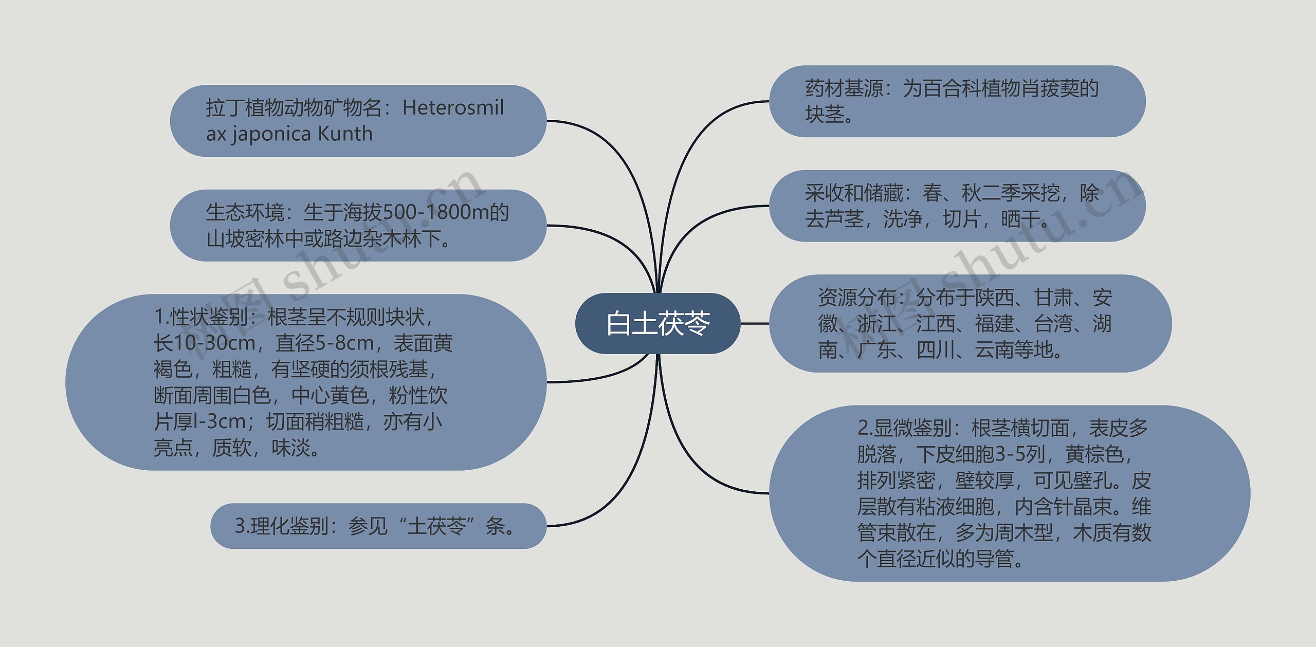 白土茯苓思维导图