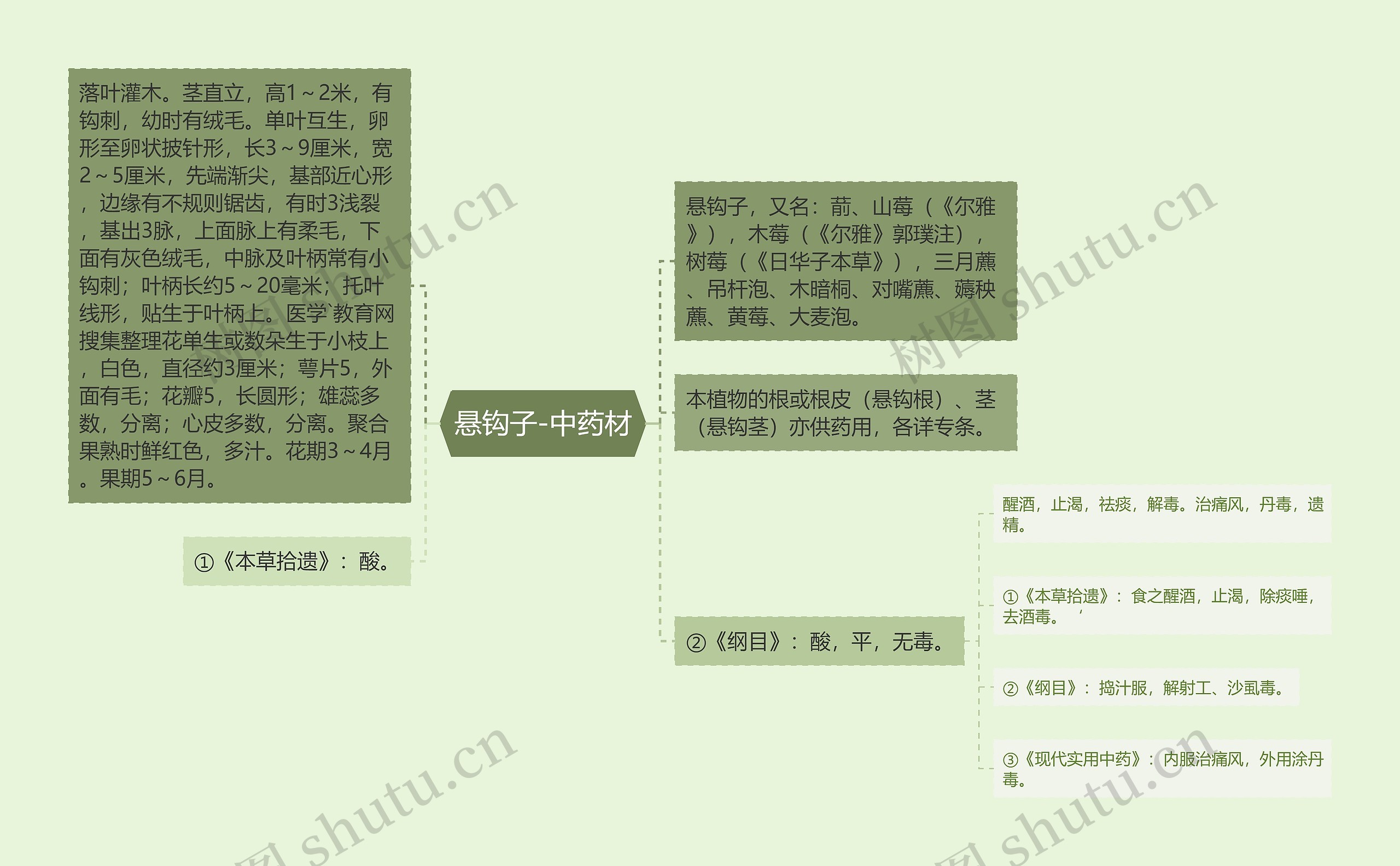 悬钩子-中药材思维导图