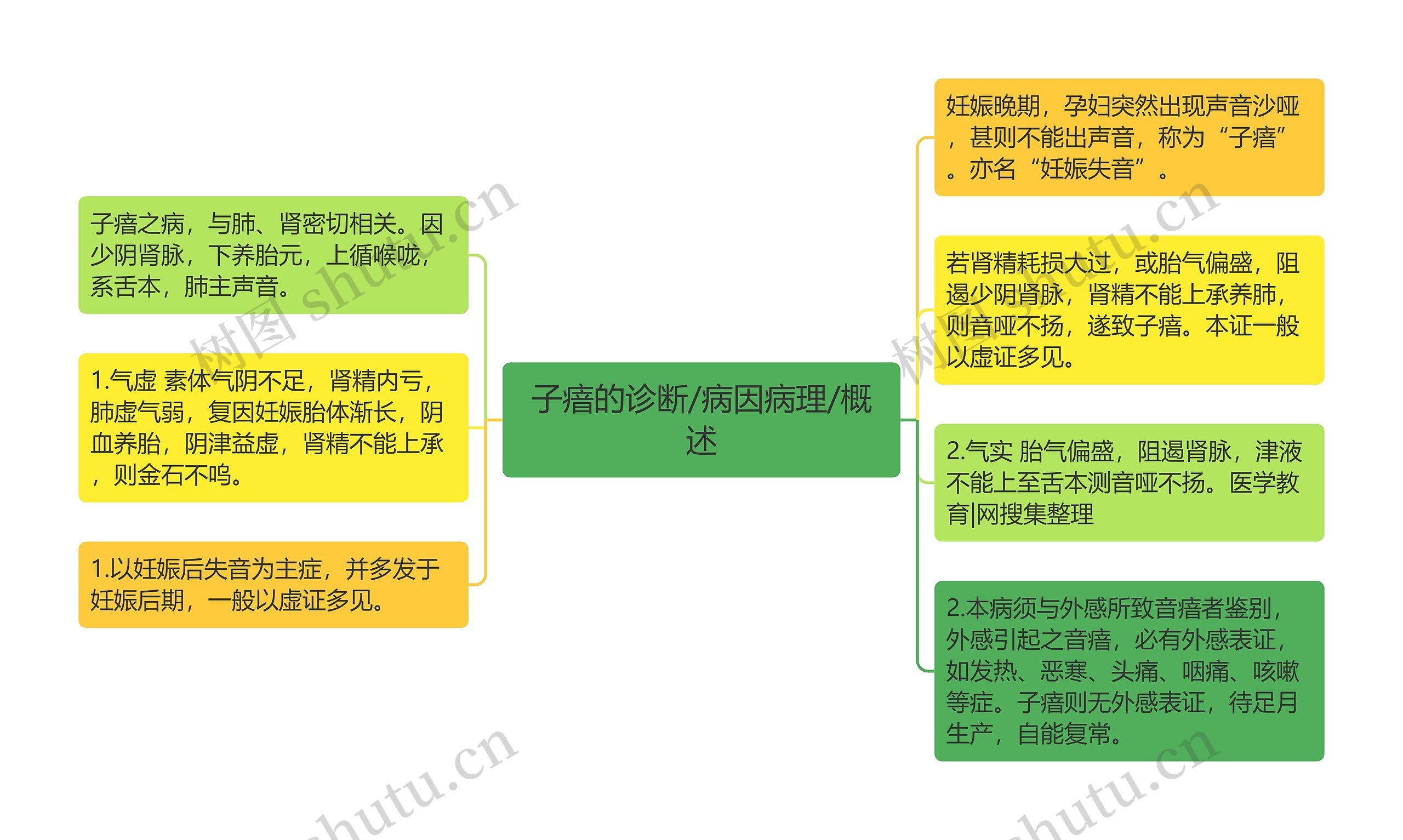 子瘖的诊断/病因病理/概述思维导图