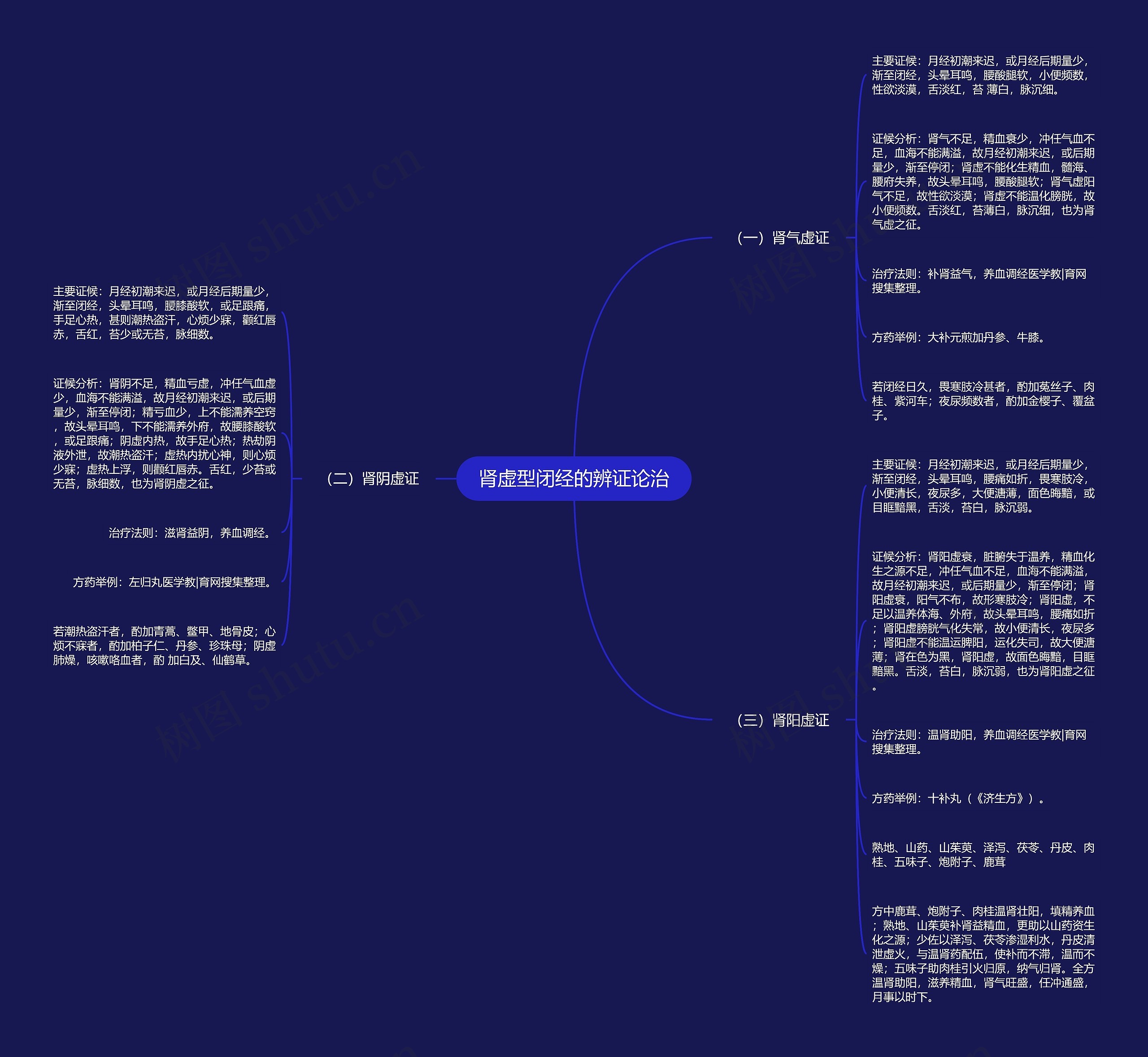 肾虚型闭经的辨证论治思维导图