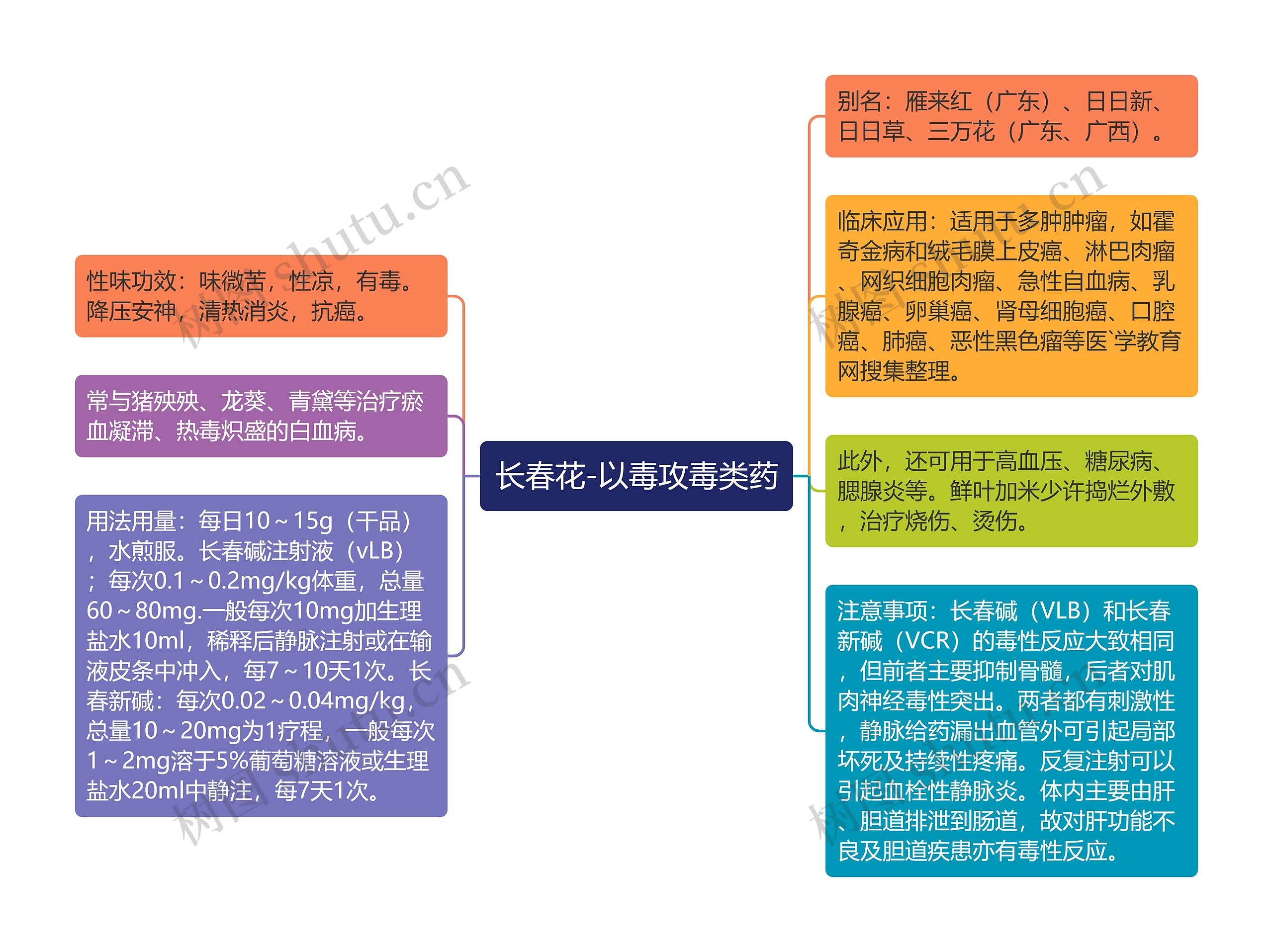 长春花-以毒攻毒类药 长春花-以毒攻毒类药