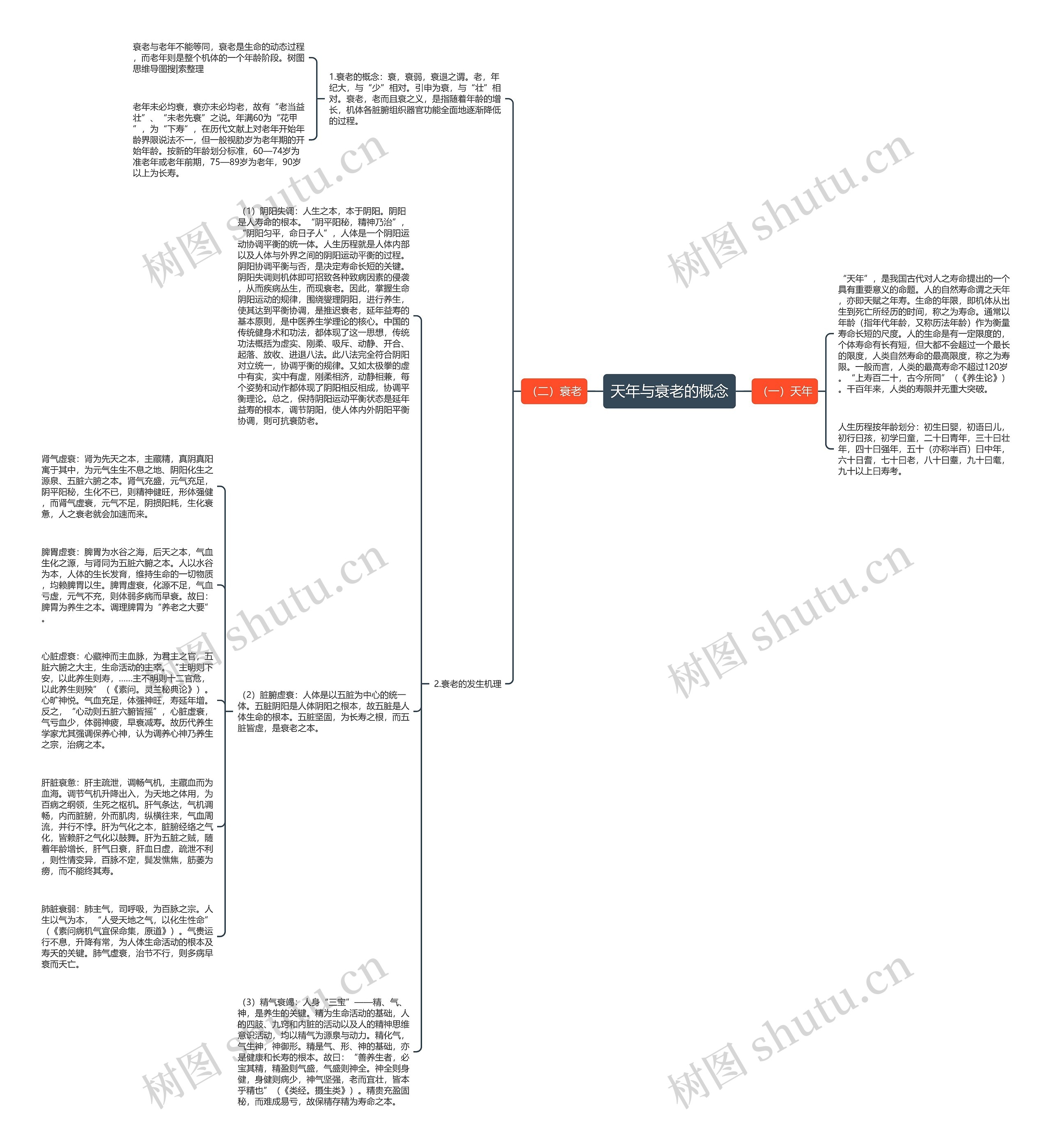 天年与衰老的概念思维导图