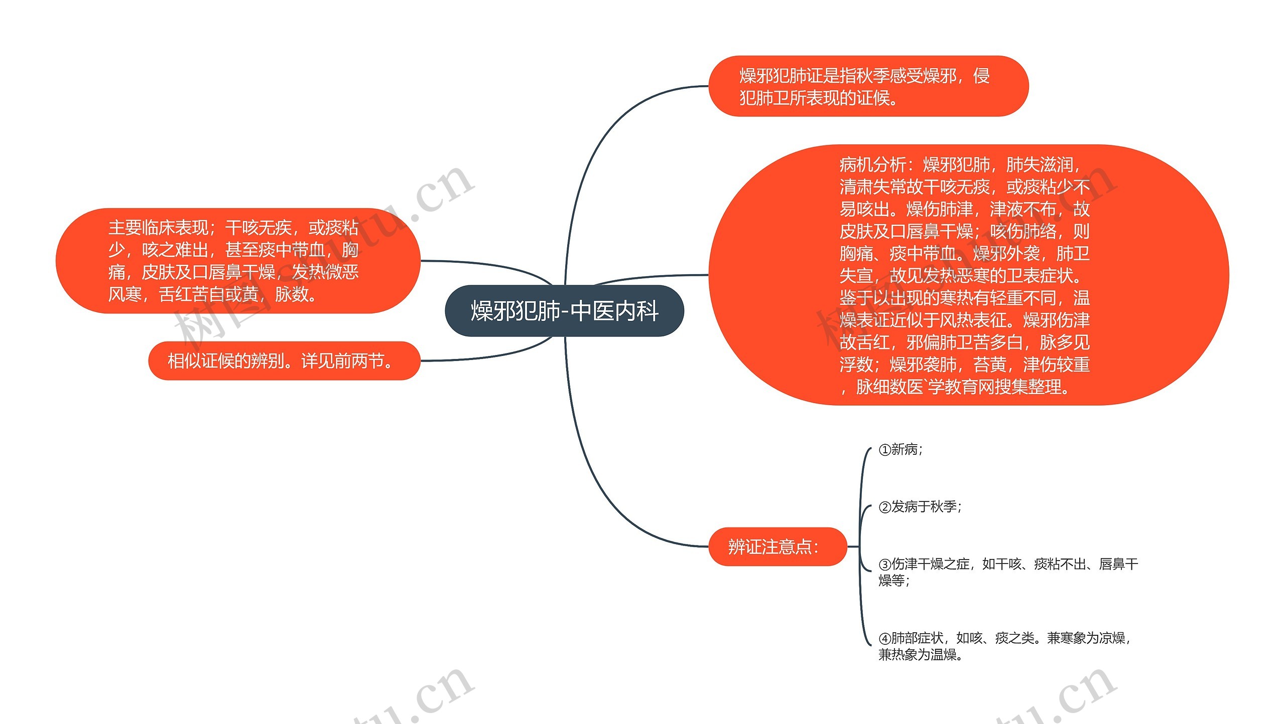 燥邪犯肺-中医内科思维导图