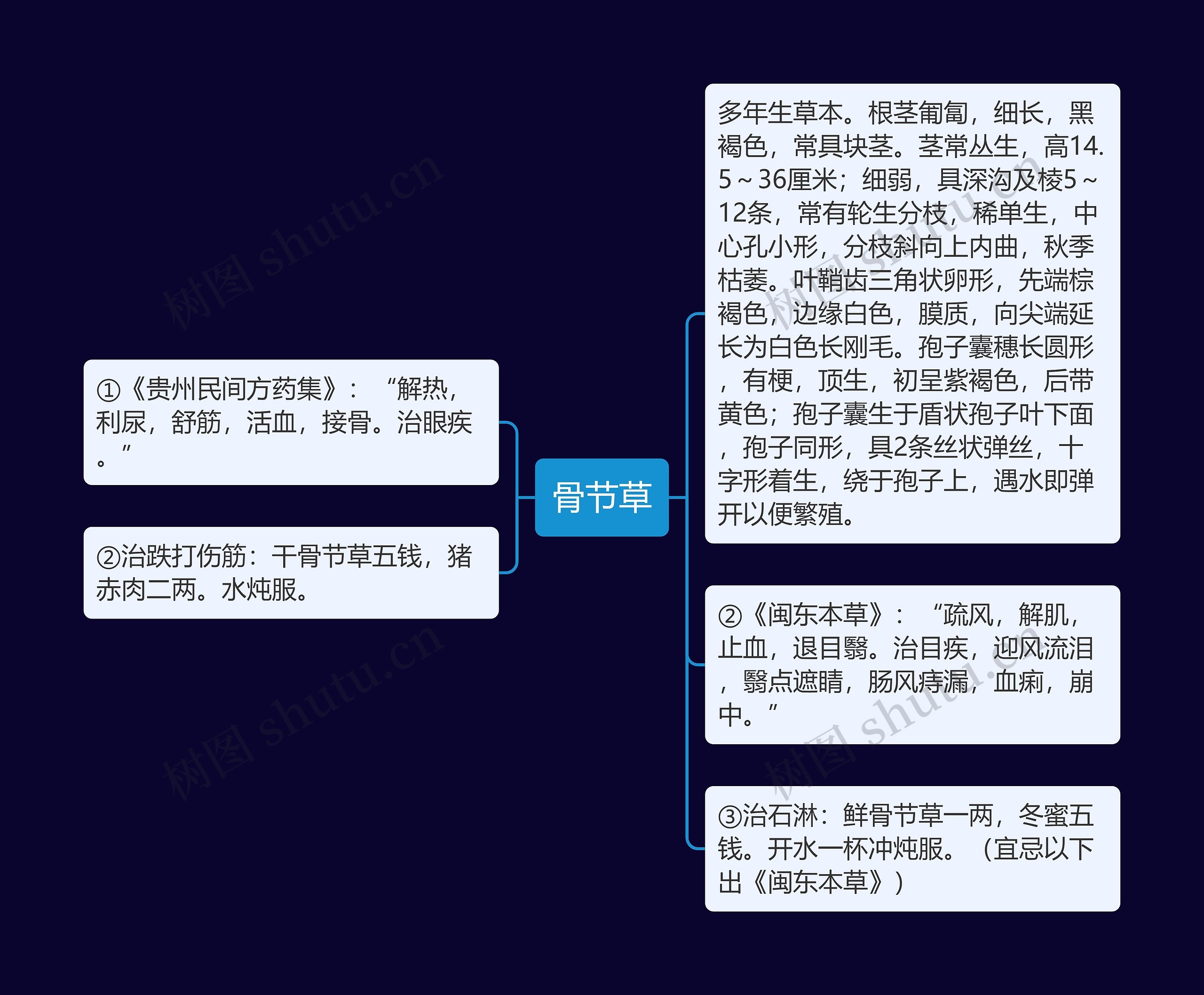 骨节草 骨节草