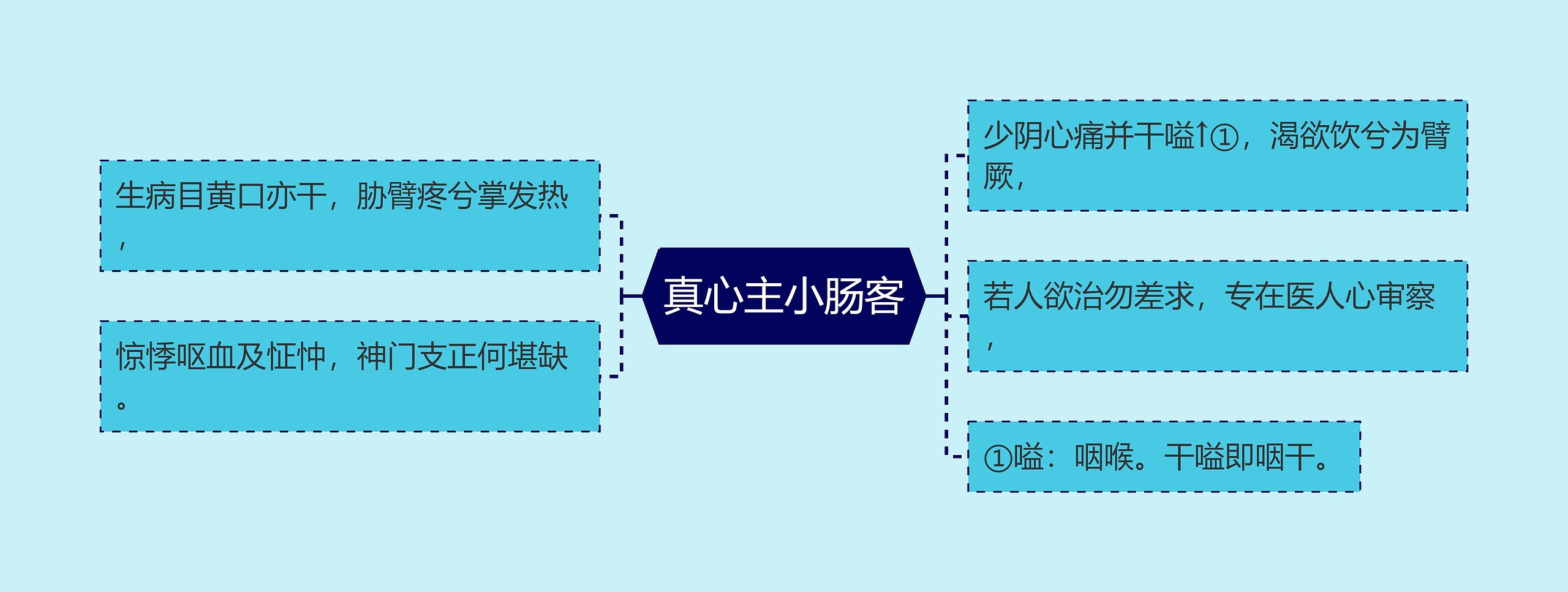 真心主小肠客思维导图