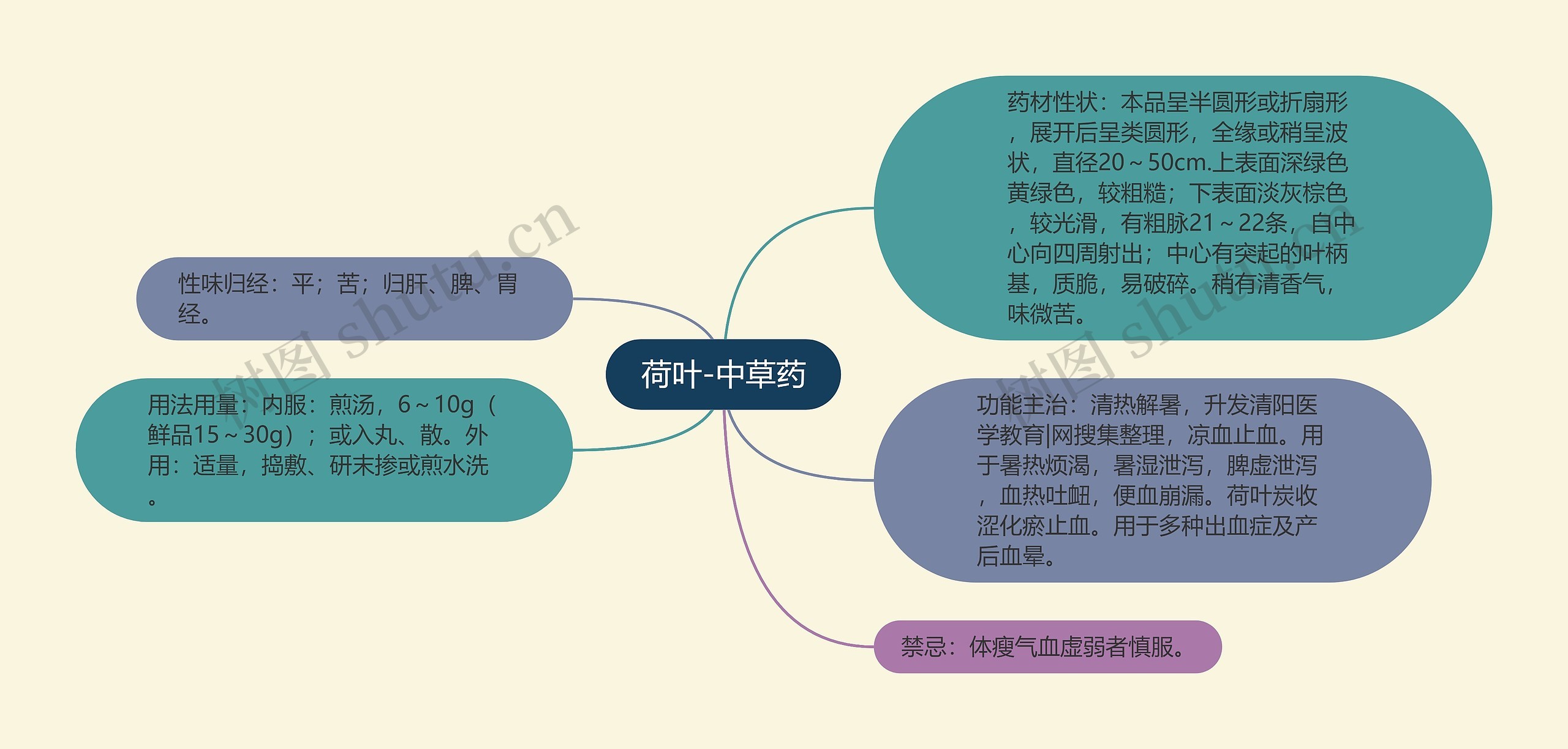 荷叶-中草药思维导图