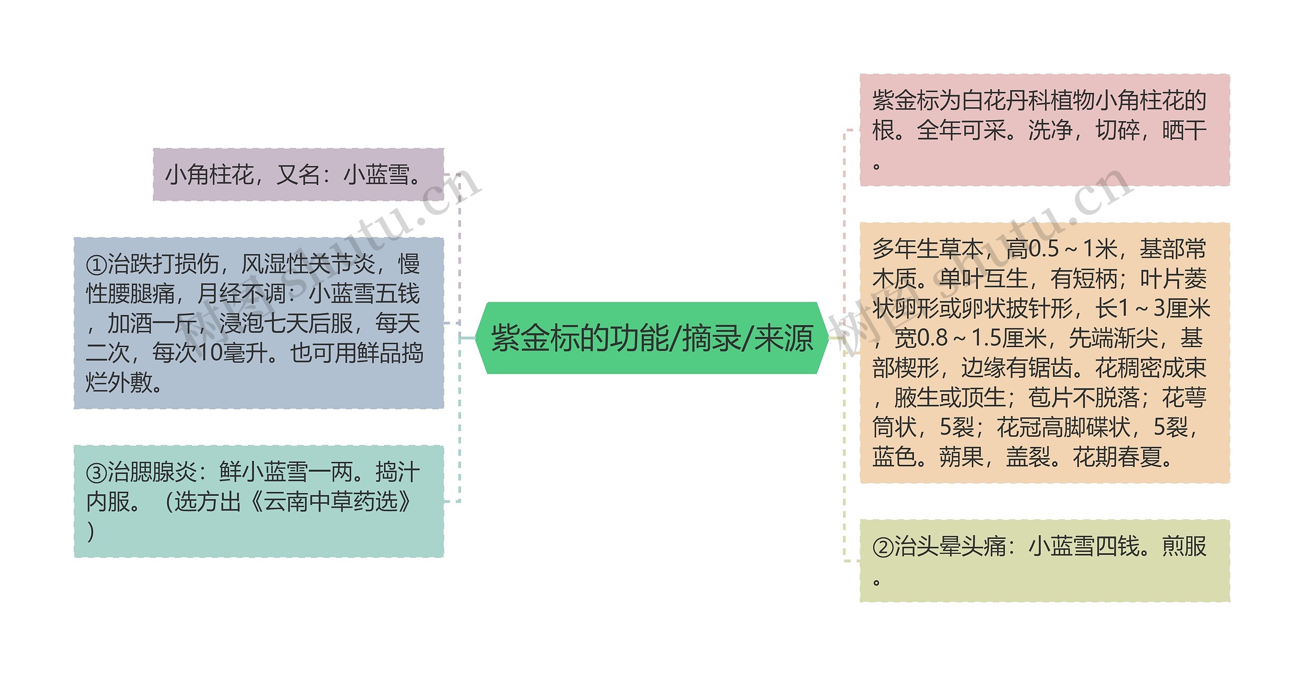 紫金标的功能/摘录/来源思维导图