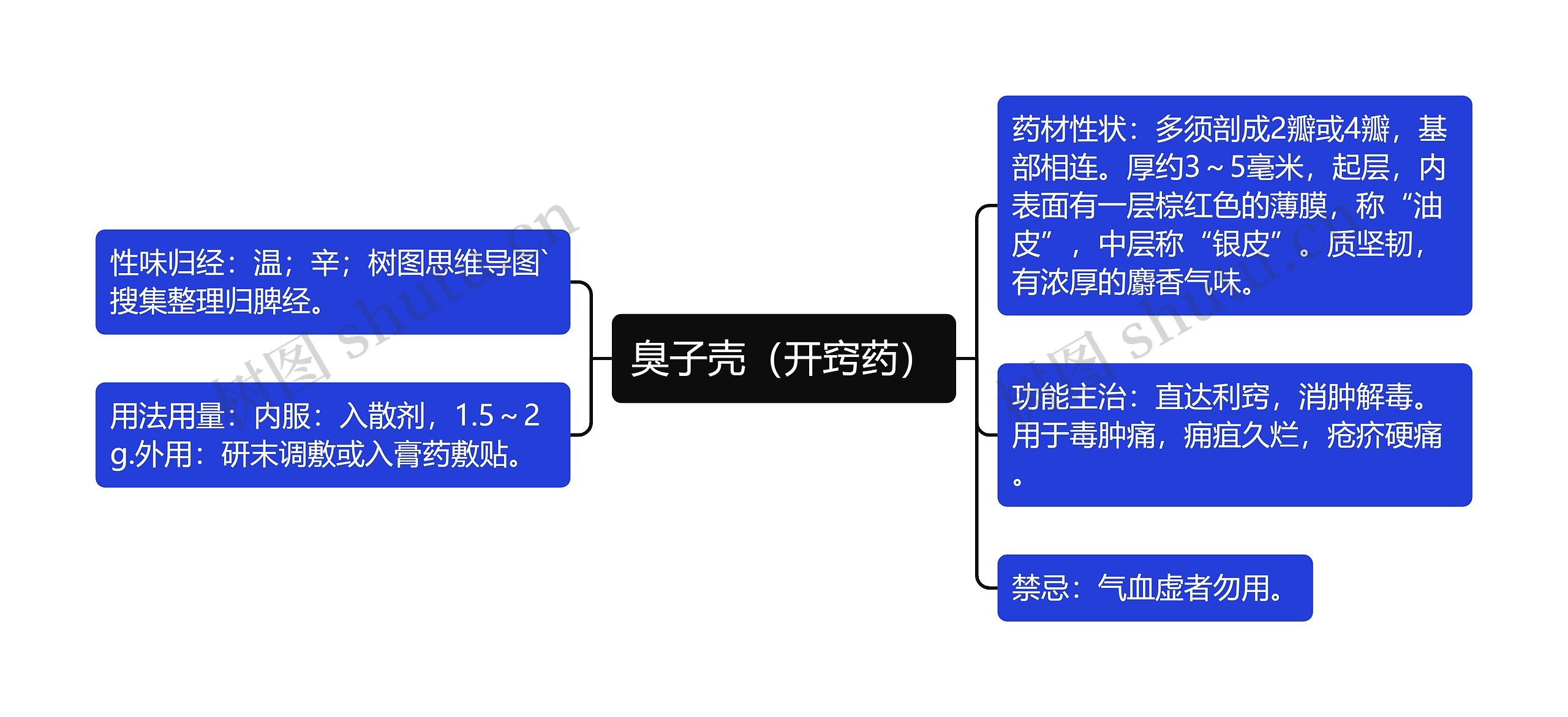 臭子壳（开窍药）思维导图