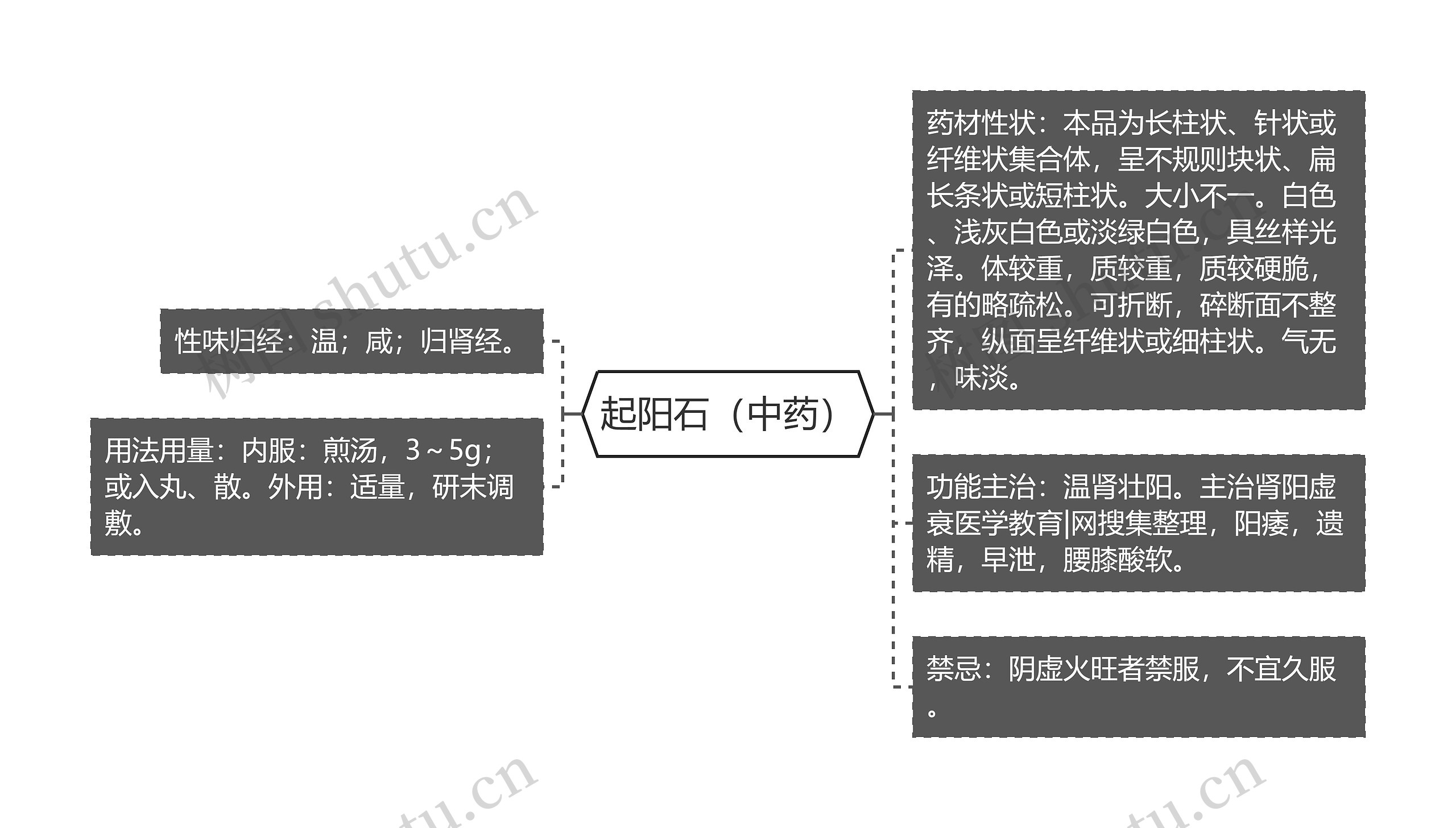 起阳石（中药）思维导图