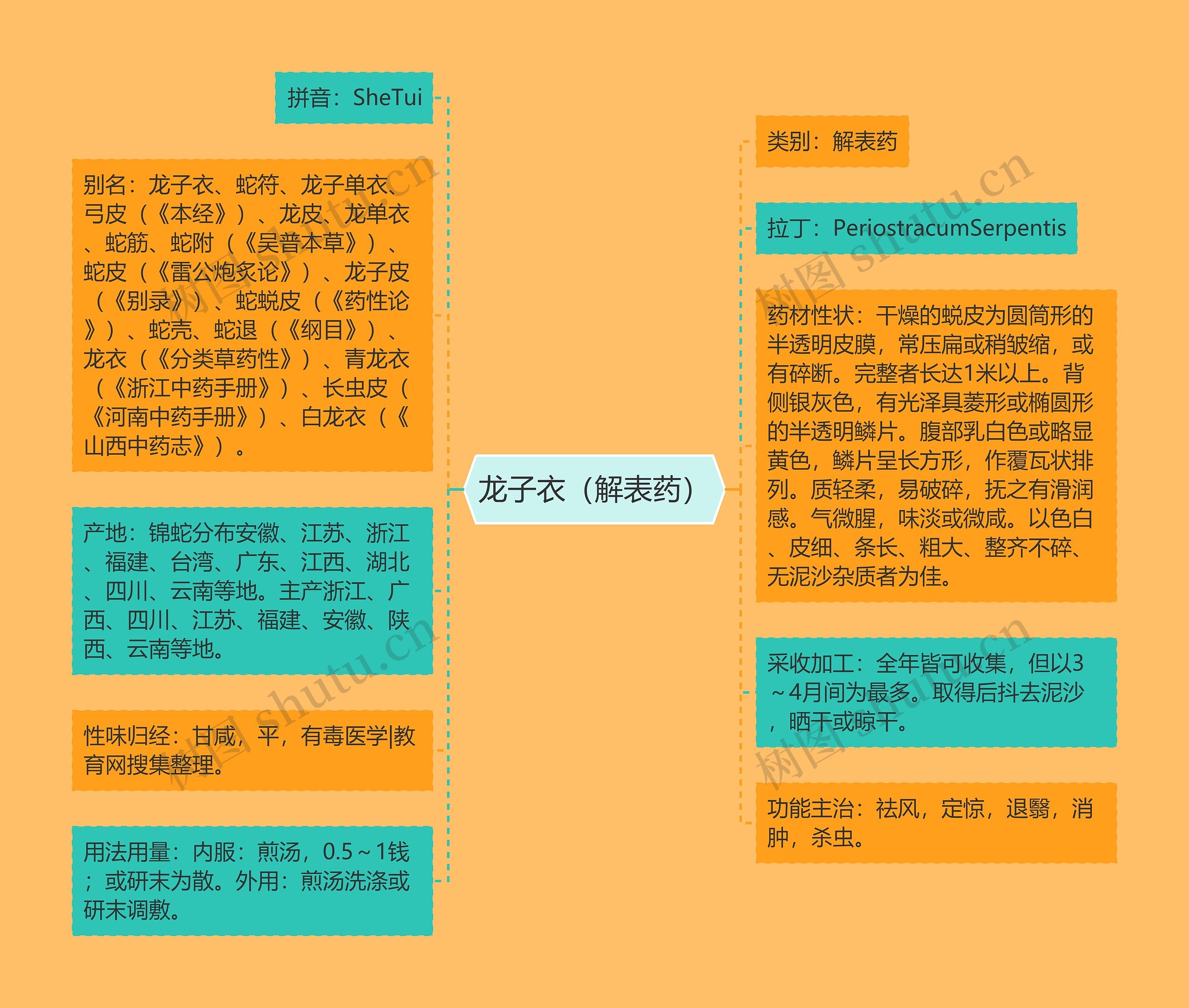 龙子衣(解表药) 龙子衣(解表药)