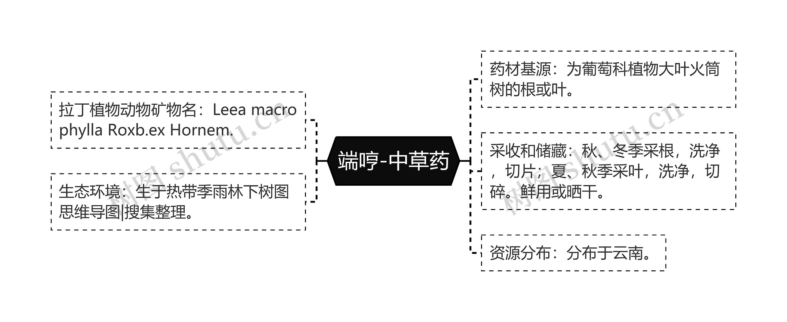 端哼-中草药思维导图