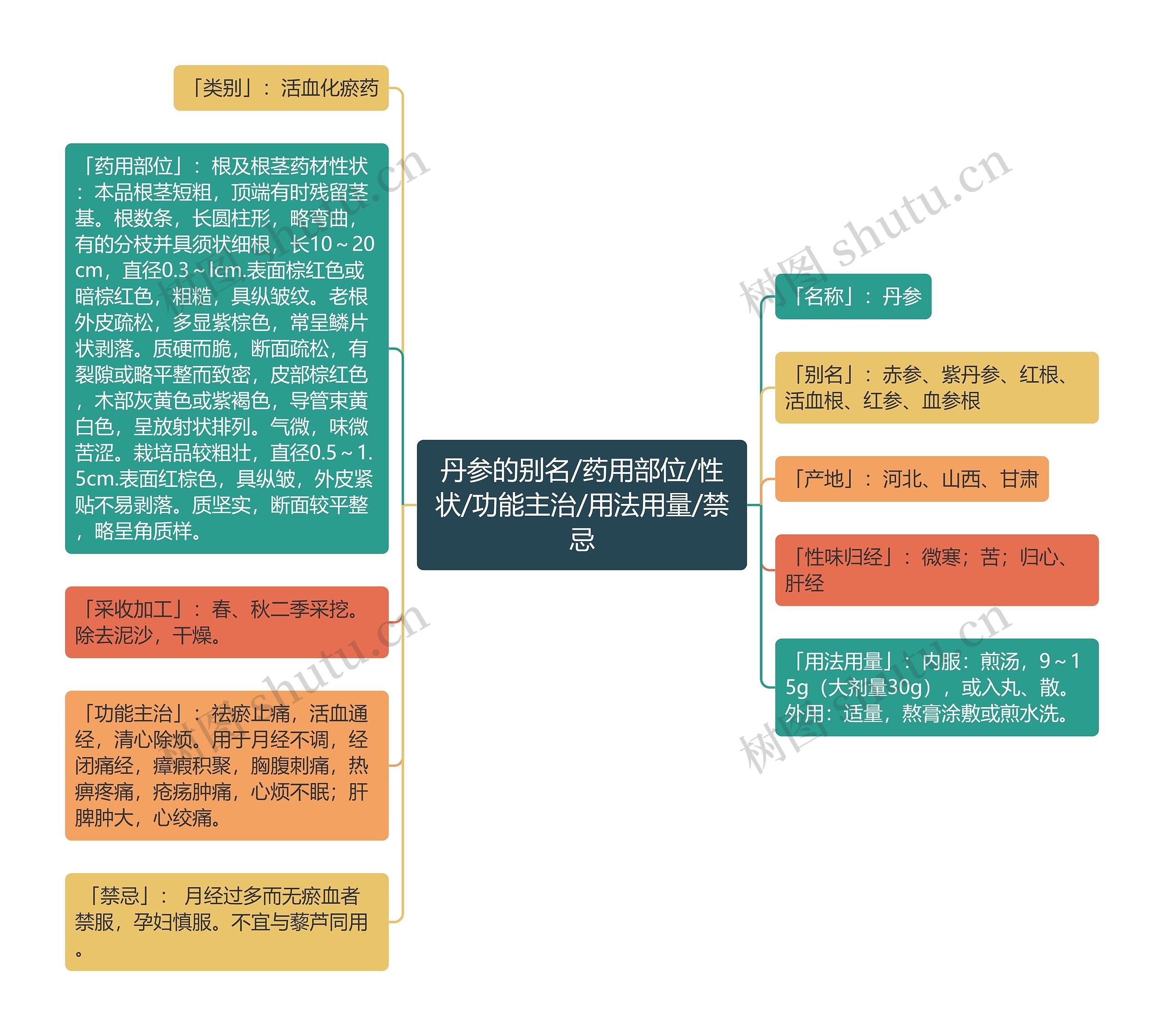 丹参的别名/药用部位/性状/功能主治/用法用量/禁忌