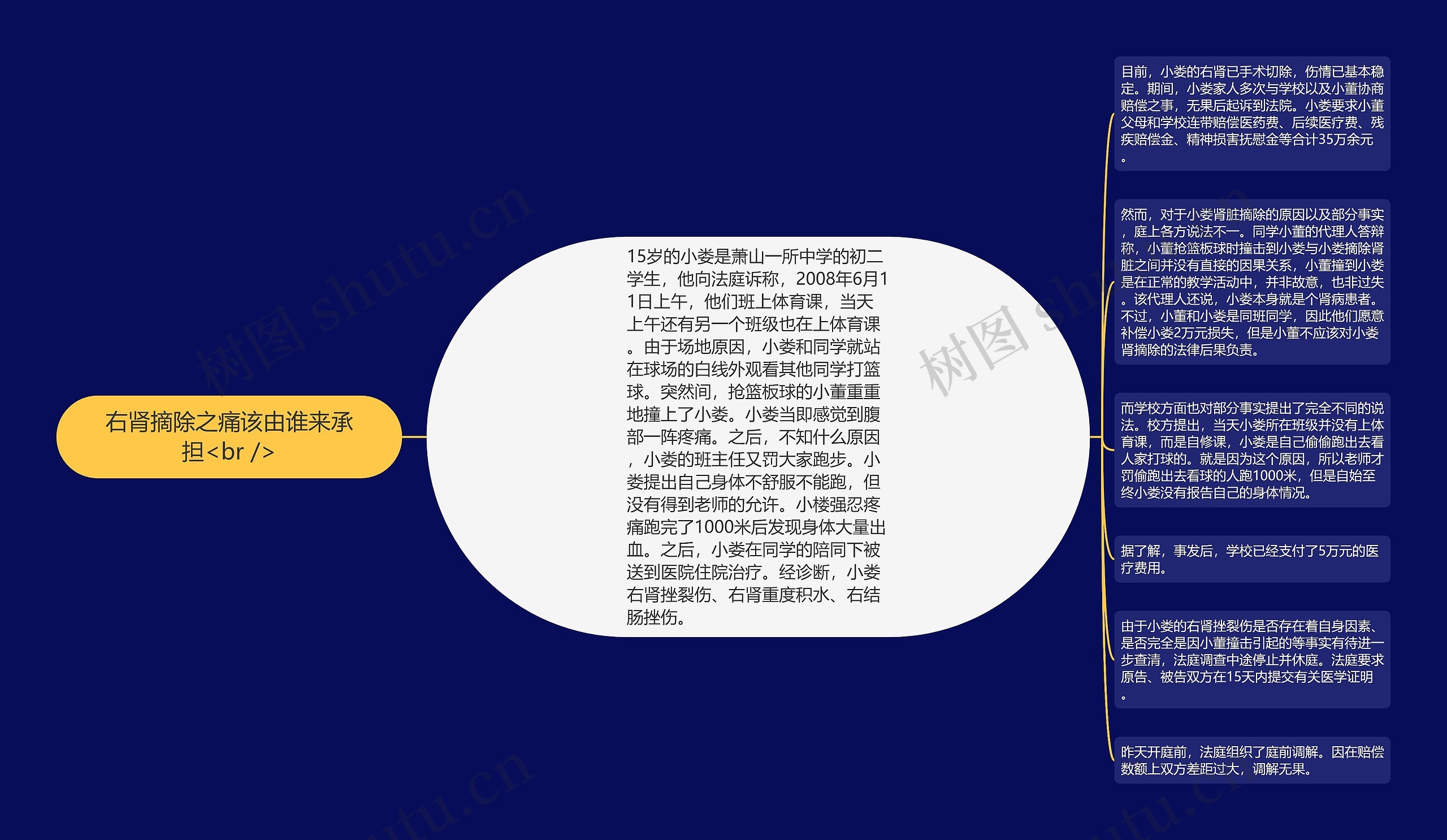 右肾摘除之痛该由谁来承担<br />思维导图