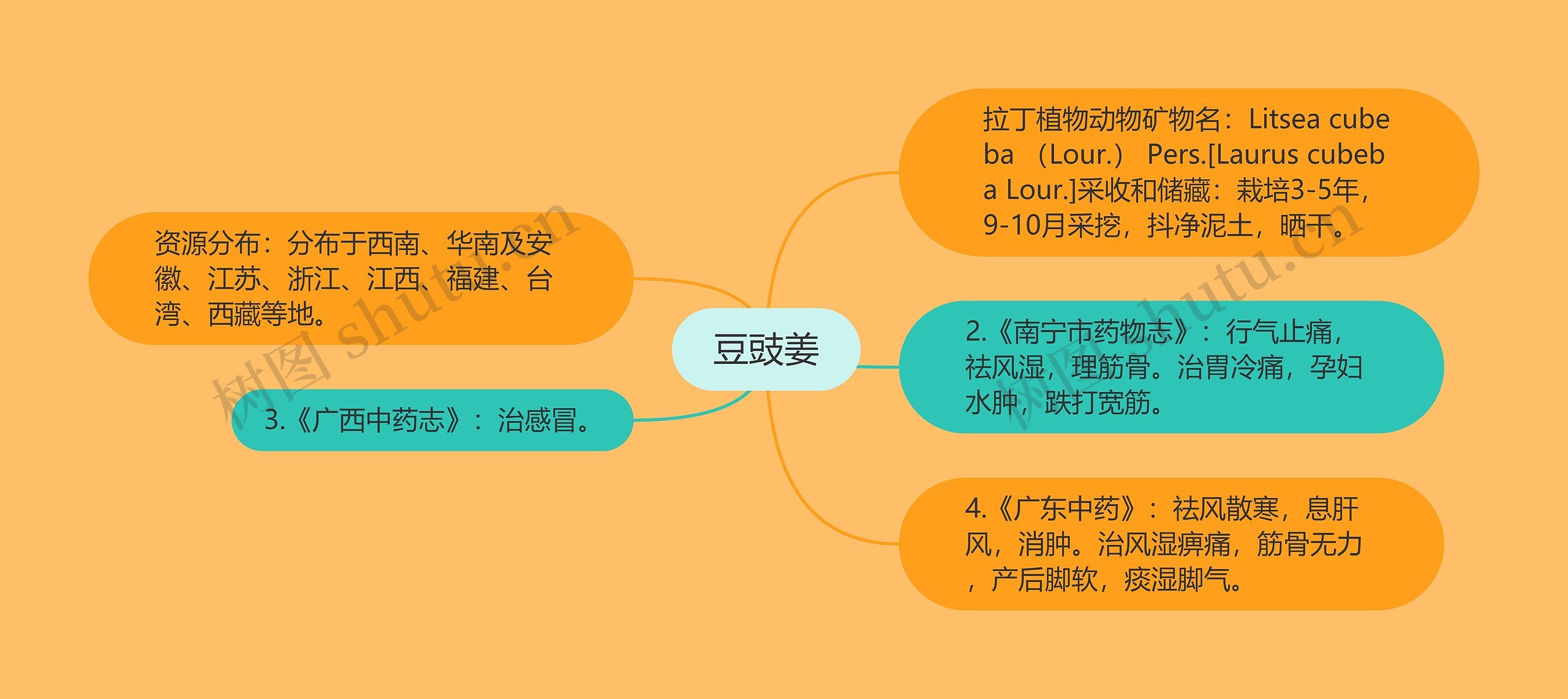 豆豉姜思维导图