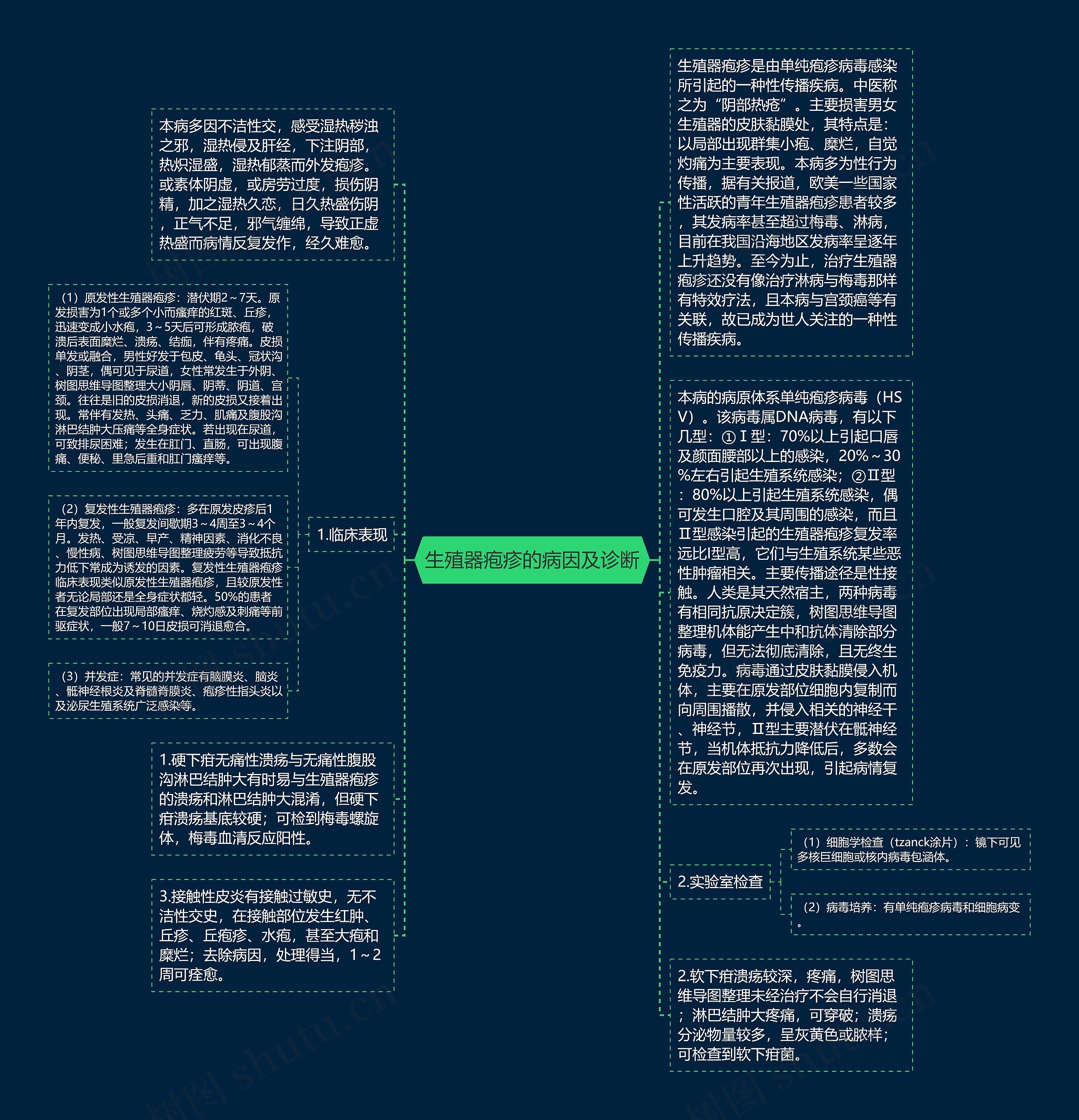 生殖器疱疹的病因及诊断