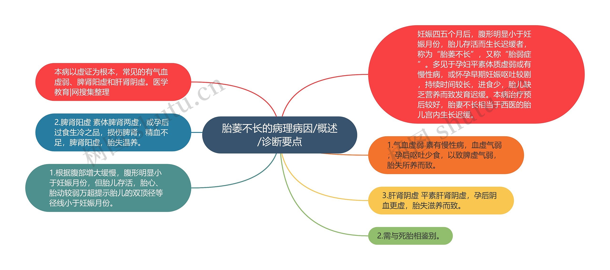 胎萎不长的病理病因/概述/诊断要点